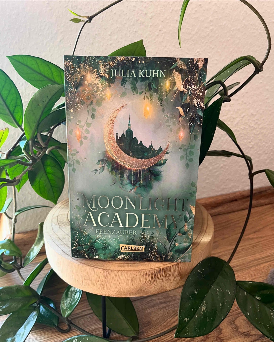 Eine Academy, Feen, Magie, eine verbotene Liebe und Geheimnisse …