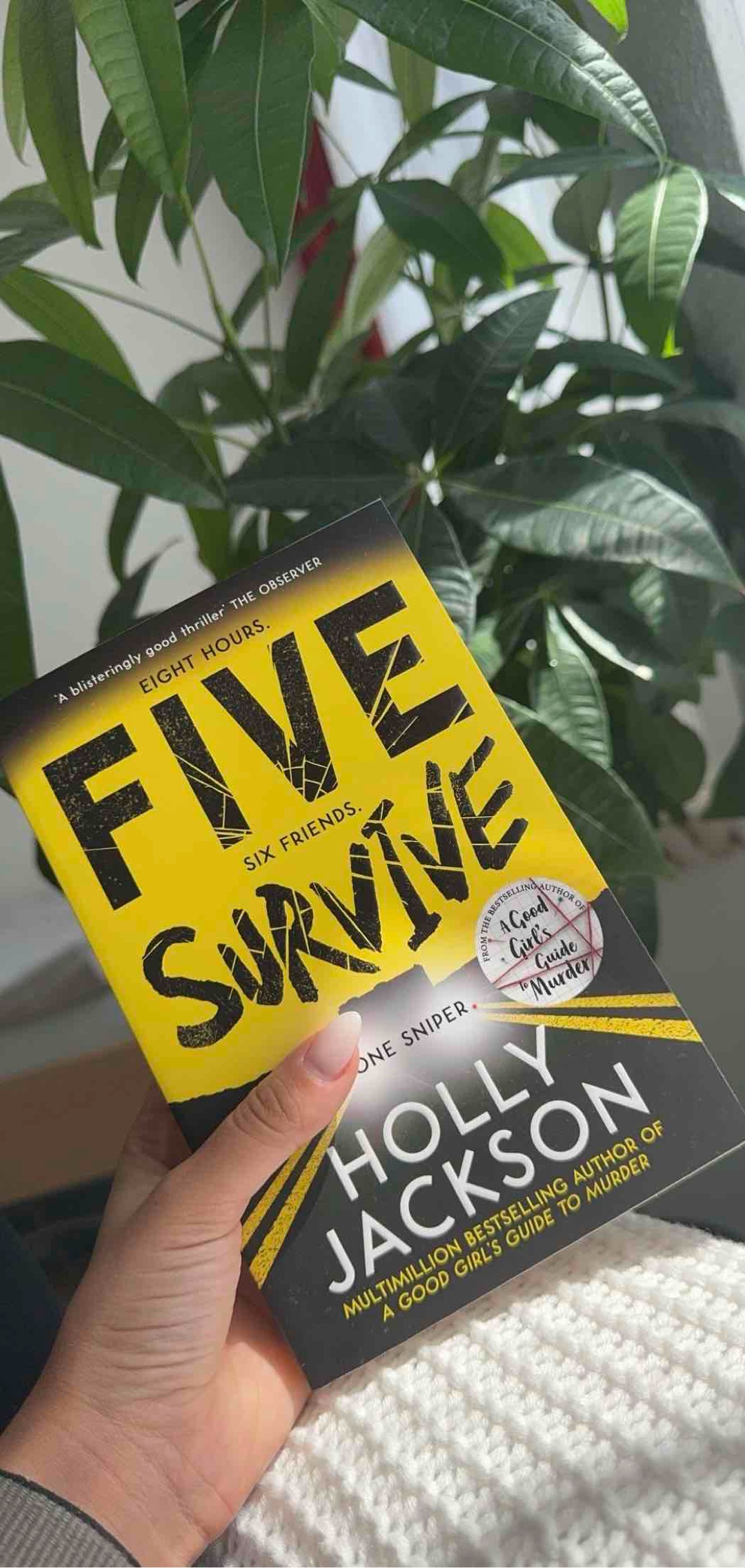 Holly Jackson strikes again!