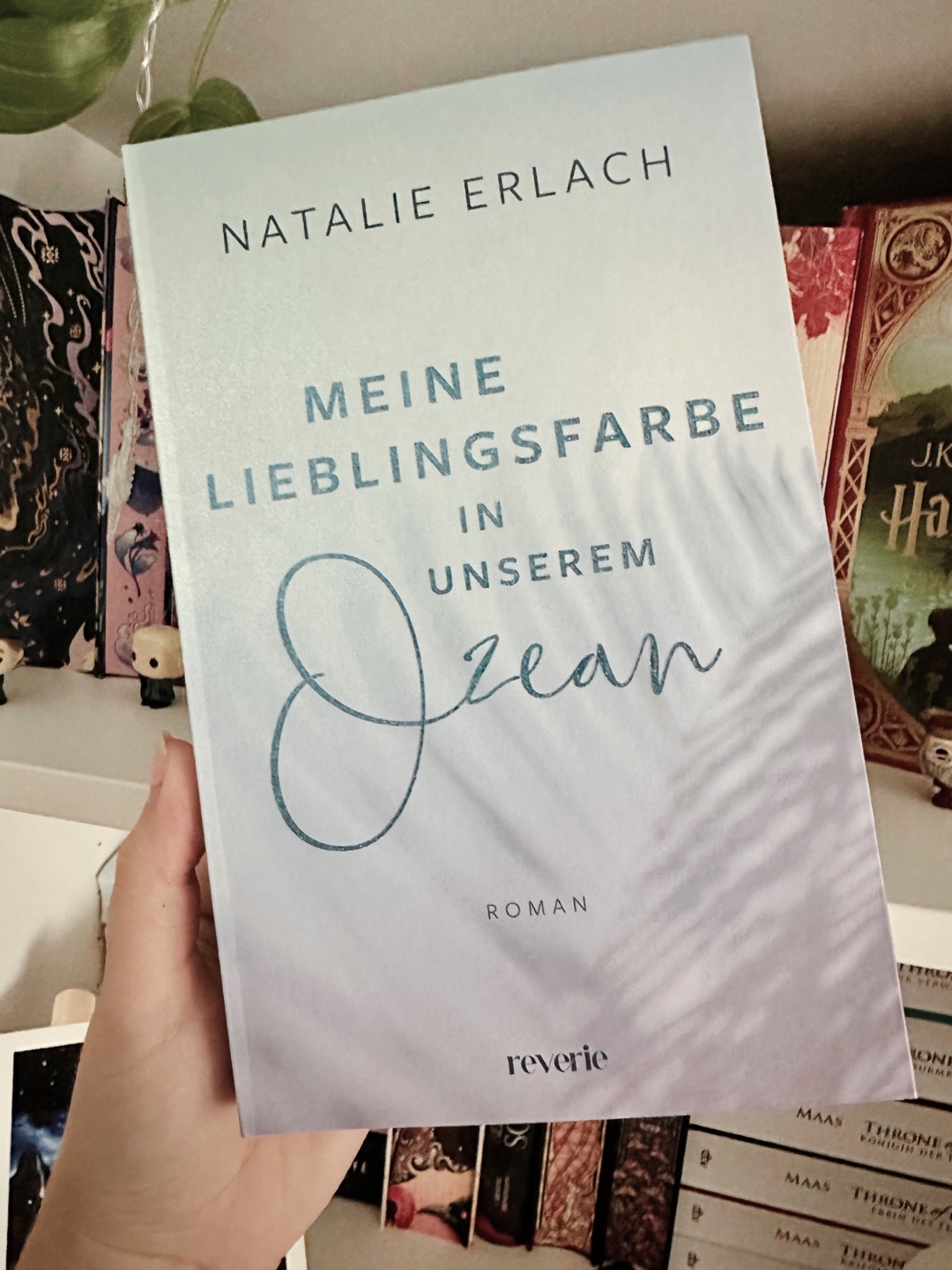 Ein super schönes Sommerbuch 🏝️🐢