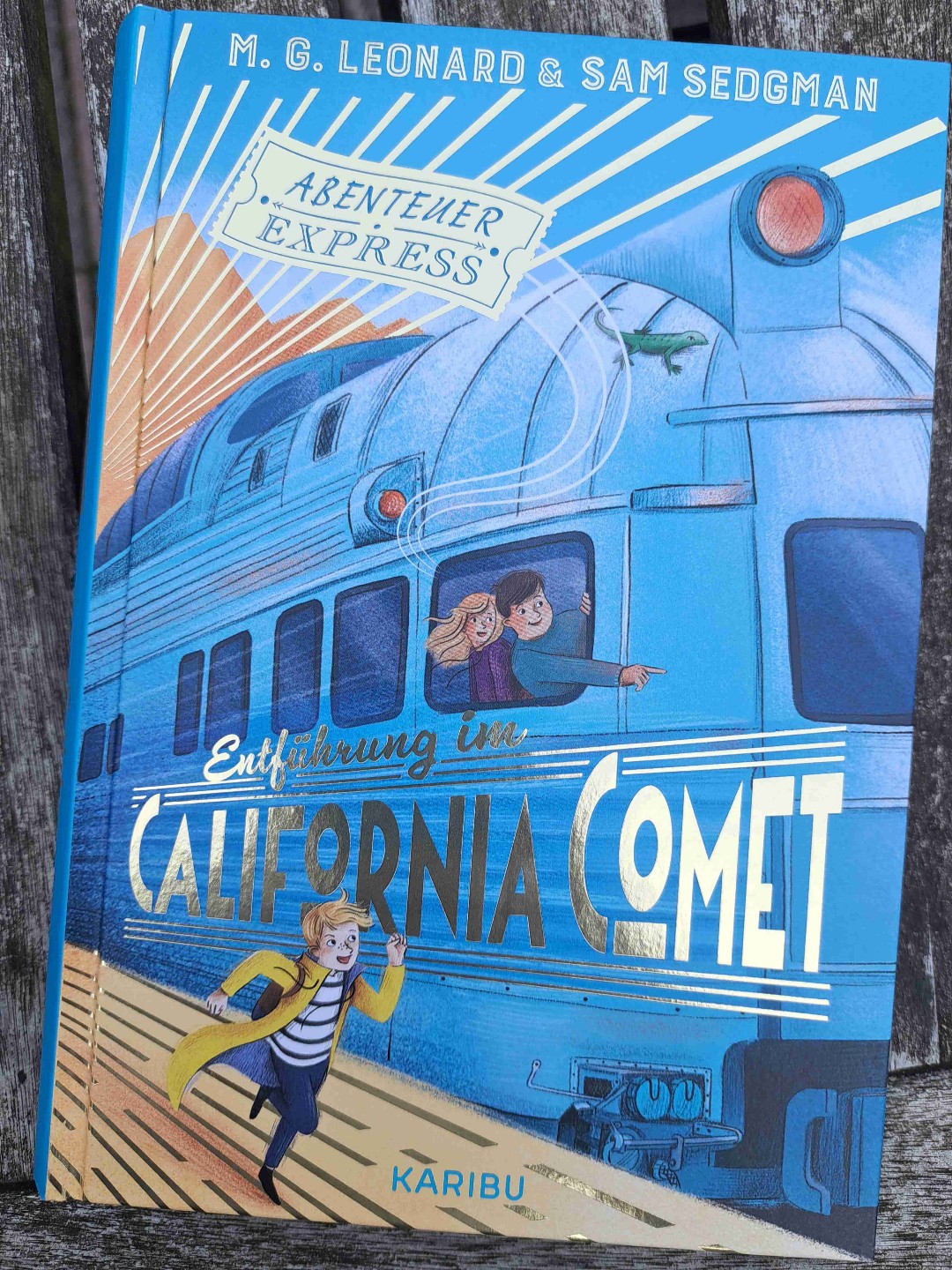 Rätselhafter Fall an Bord des California Comet - ein Krimi für alle Kinder, die gerne beobachten und mitraten