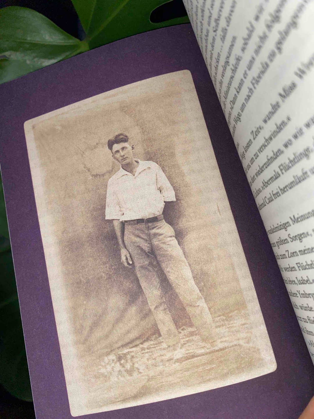Ich liebe die Welt der Besonderen und habe mich jedesmal gefreut, wenn ein neuer Besonderer auftauchte! Die Bilder von einzelnen wenigen Charakteren sind mein persönliches Highlight in dieser Reihe!🎞️
…aber leider kam ich mit den Büchern allgemein doch echt schleppend voran, da die Hauptstory enorm in die Länge gezogen wurde..
Ich muss leider sagen..ich war irgendwie froh die Reihe endlich hinter mir zu haben.