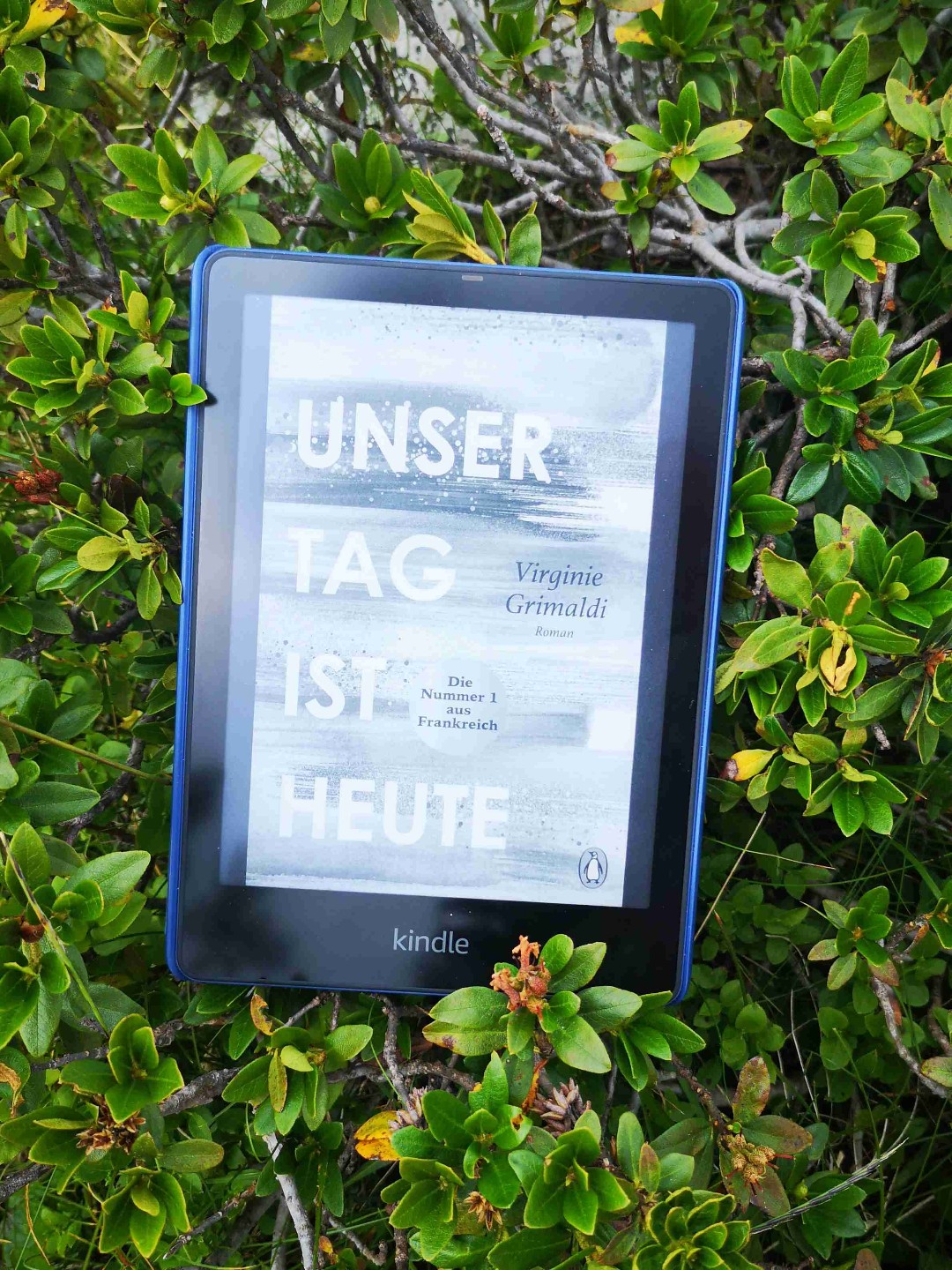 Was für ein schönes Buch ❤️