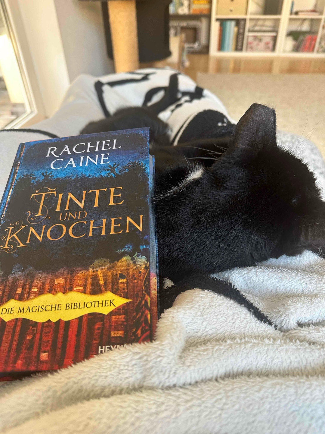 Wer Bücher und Bibliotheken liebt - wird dieses Buch lieben 🫶 📚❤️
