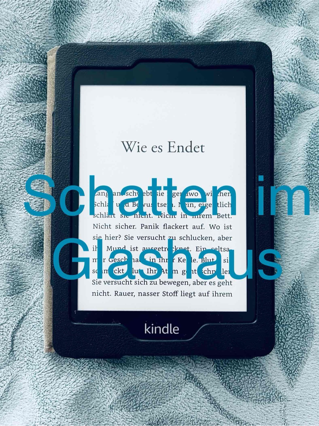 Ein spannender Thriller mit einem überraschenden Plottwist !