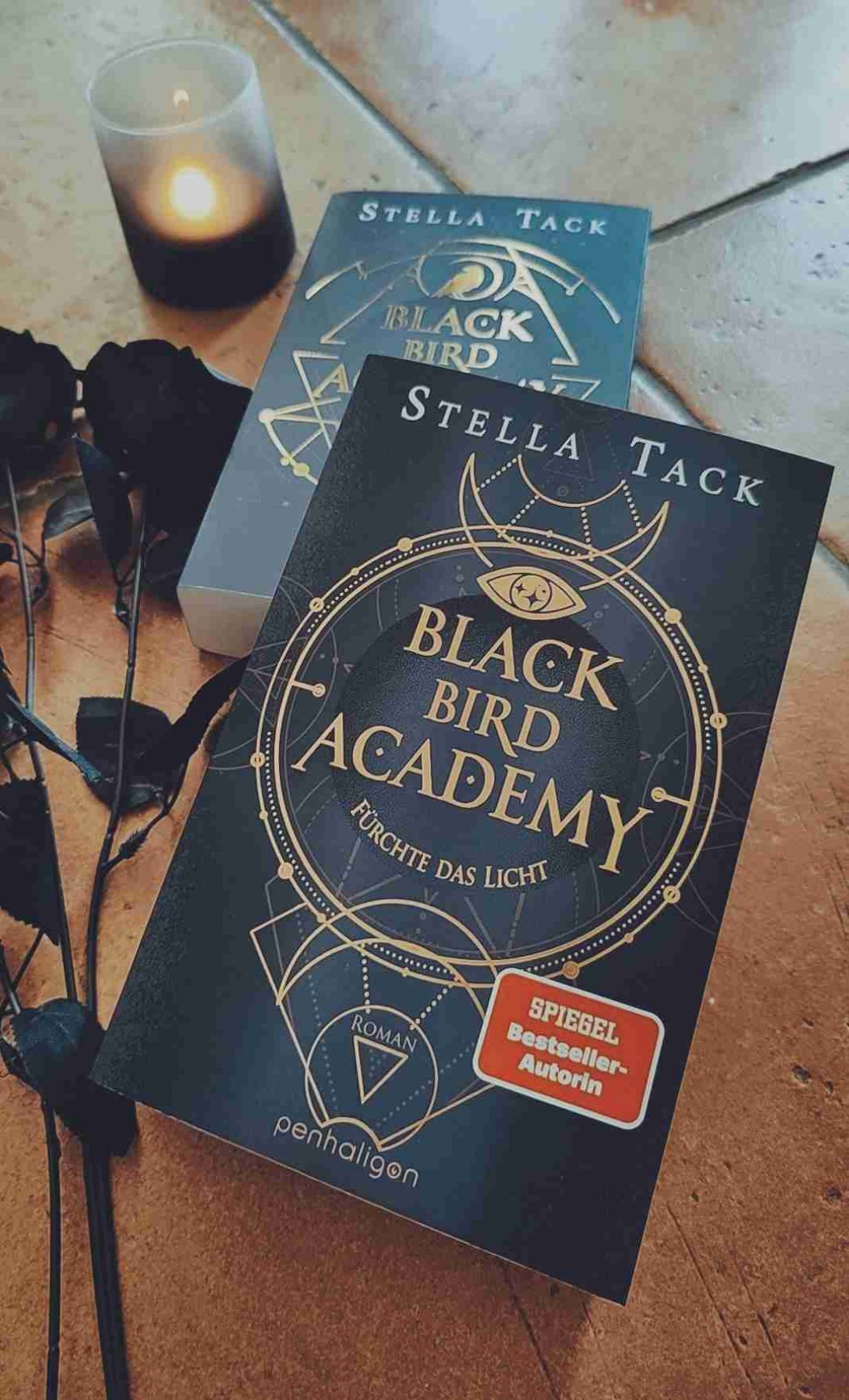 Ich finde die Welt, die Stella erschaffen hat einfach SO toll! Und ich mag ihren Schreibstil! Es gab so einige plumpe und gleichzeitig humorvolle Konversationen - ich hab das erste Mal in einem physischen Buch angefangen die Stellen mit einem Post-it zu markieren!
Es passiert in dem Buch wieder so so viel und man lernt so viel über diese Welt!
Ja, das Ende ist ein bisschen mies, aber die vielen 'soo ein mieser Cliffhanger 😭' finde ich persönlich übertrieben, da habe ich schon viel schlimmere gelesen. Es macht neugierig auf mehr, ist jedoch einigermaßen fair dafür, dass man noch bis Mai 2025 warten muss.
Wer Academy Setting, Exorzismus, Geister, Damönen, Parallelwelten und ein bisschen Men in Black Vibes mag ist hier wieder genau richtig!