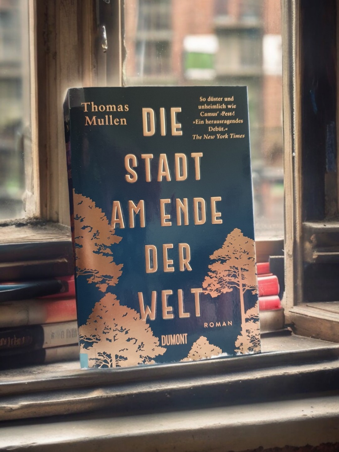 ✨ Zitat aus dem Buch:
"Die Strassen waren nicht beleuchtet und Philip hatte auch keine Laterne dabei. Drei Querstrassen weiter bog eine von einem erschöpften Ross gezogene Kutsche in die Strasse ein, auf der er ging. Sogleich versteckte er sich an der Seitenwand eines Hauses. Warum tat er das eigentlich? Wegen der Grippe, überlegte er, sie verlieh jeder harmlosen, alltäglichen Verrichtung eine neue Bedeutung und eine böse Absicht." 