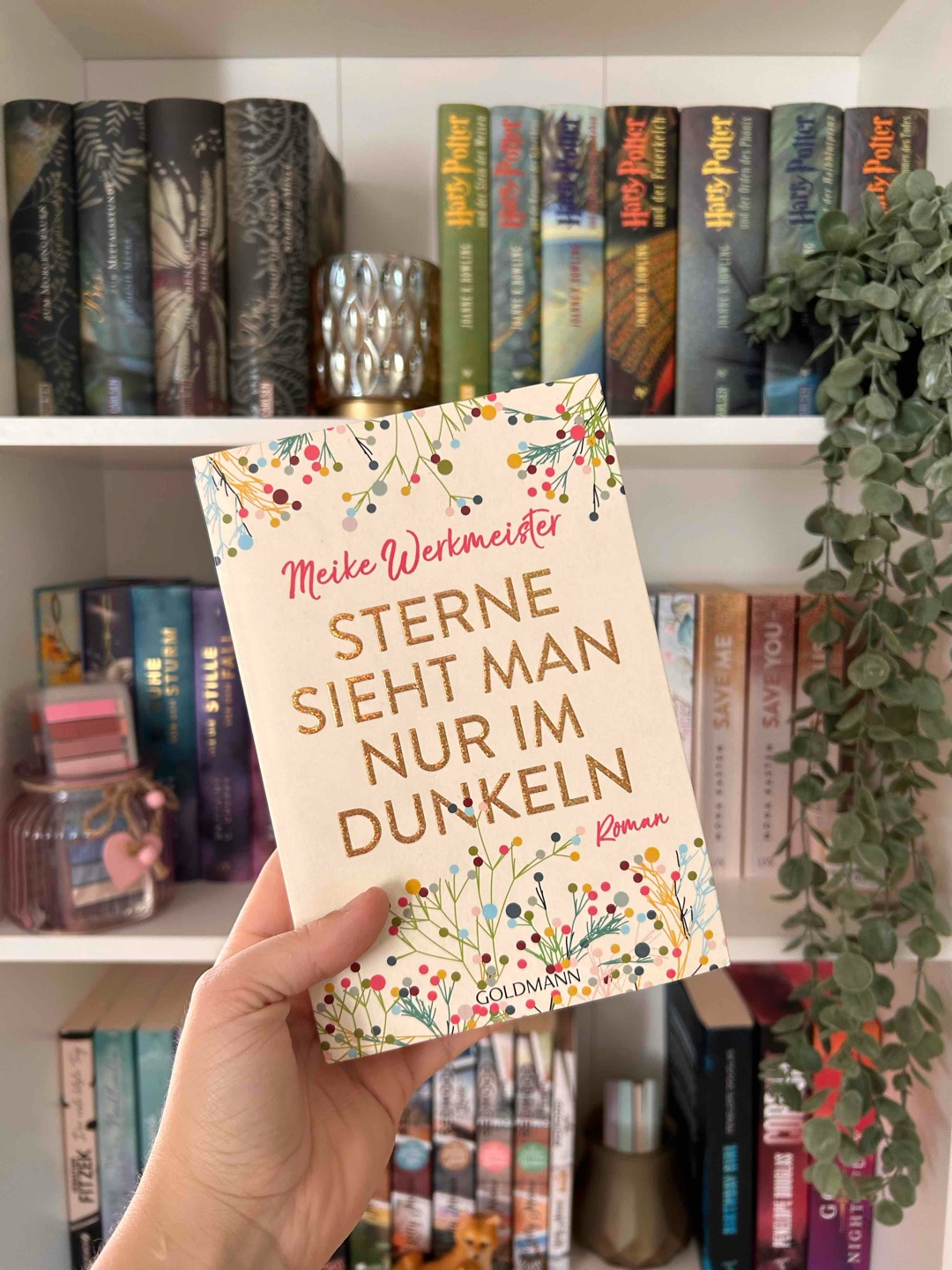 Niedliches Buch für zwischendurch.✨