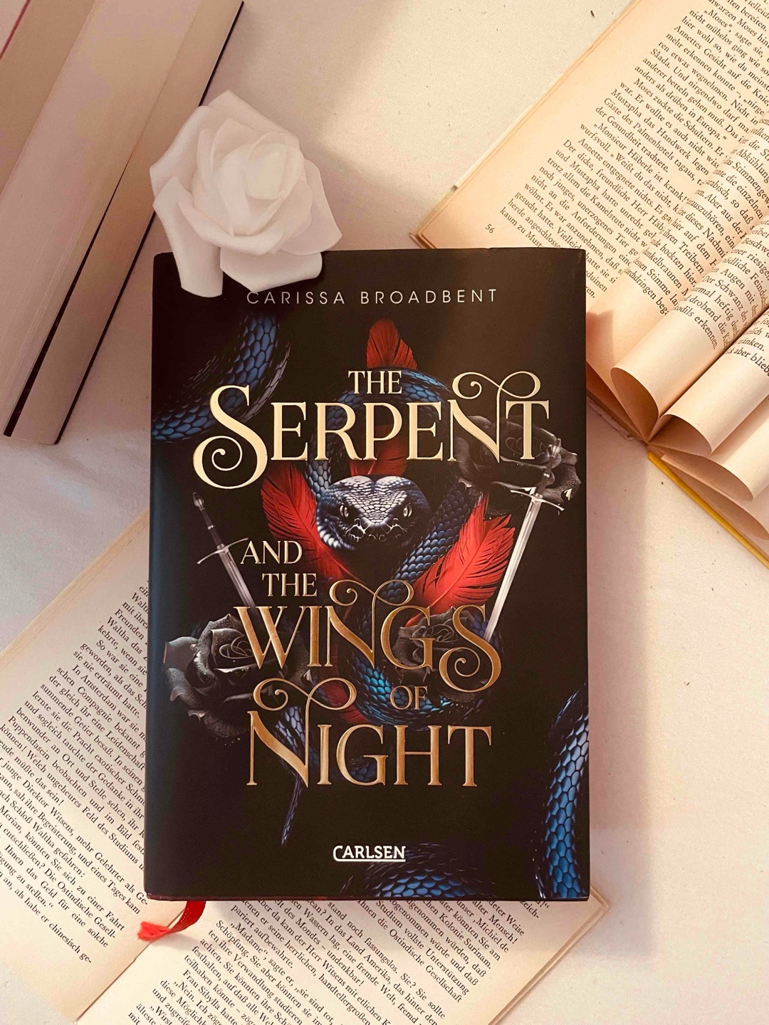 Reread vor dem Lesen des zweiten Bandes, fand’s genauso toll wie beim ersten Mal lesen.
Jetzt freue ich mich sehr auf den zweiten Teil 🤩
Hier meine Rezension nach dem ersten Mal lesen: