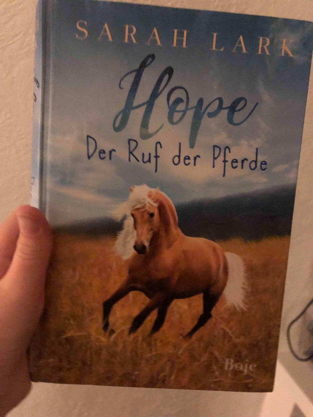 Mein absolutes Lieblingsbuch!
