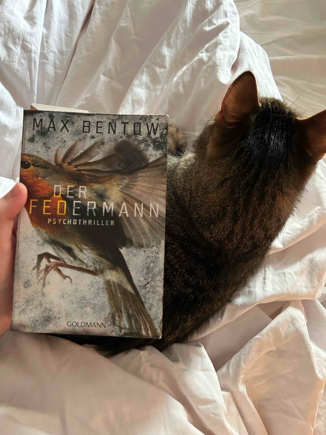 Mein erstes Buch des Autors und es hat mir sehr gut gefallen. Die Geschichte war spannend und rasant. Ich bin durch die Seiten geflogen!