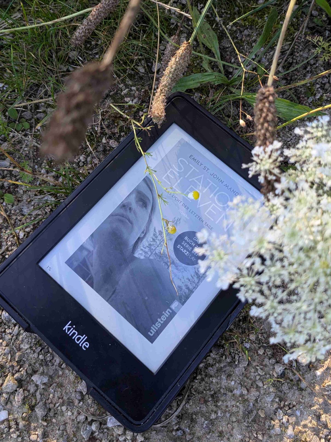 Spannende Dystopie, in der die Handlungsstränge aus der alten und neuen Welt mit einander verwoben würden, damit etwas Neues entsteht.
Die Protagonist*innen blieben mir dabei aber zu wenig greifbar.