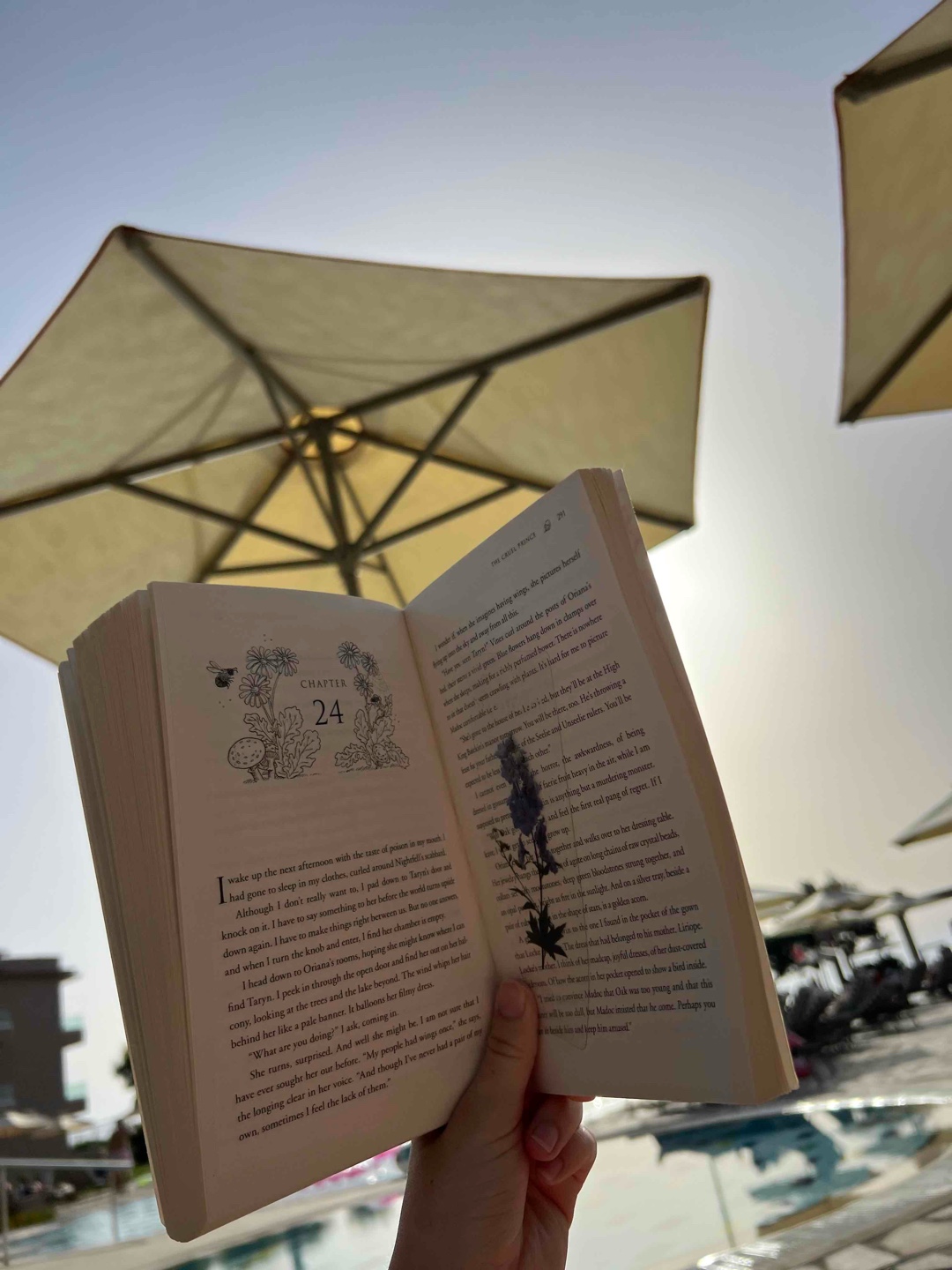 Ein magisches Buch! Ich will nach Elfhame und tanzen, obwohl ich die Folgen kenne.