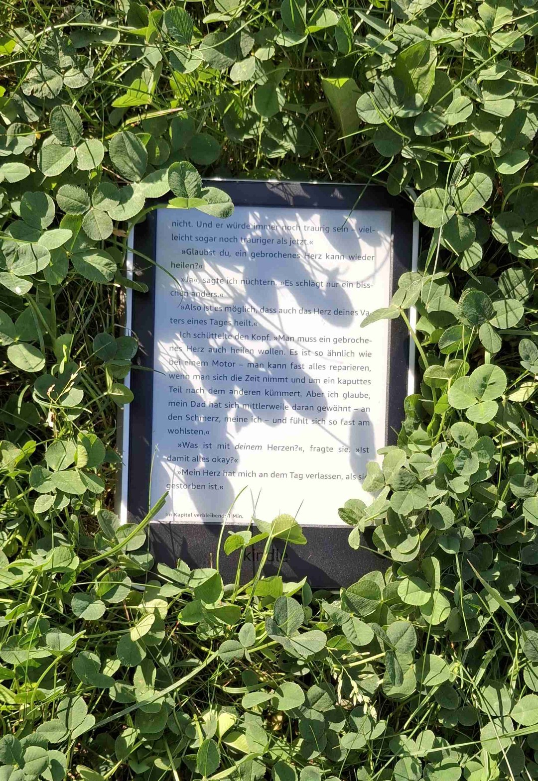 Nach einer langen Leseflaute zog mich diese Story in die Welt der Bücher zurück
