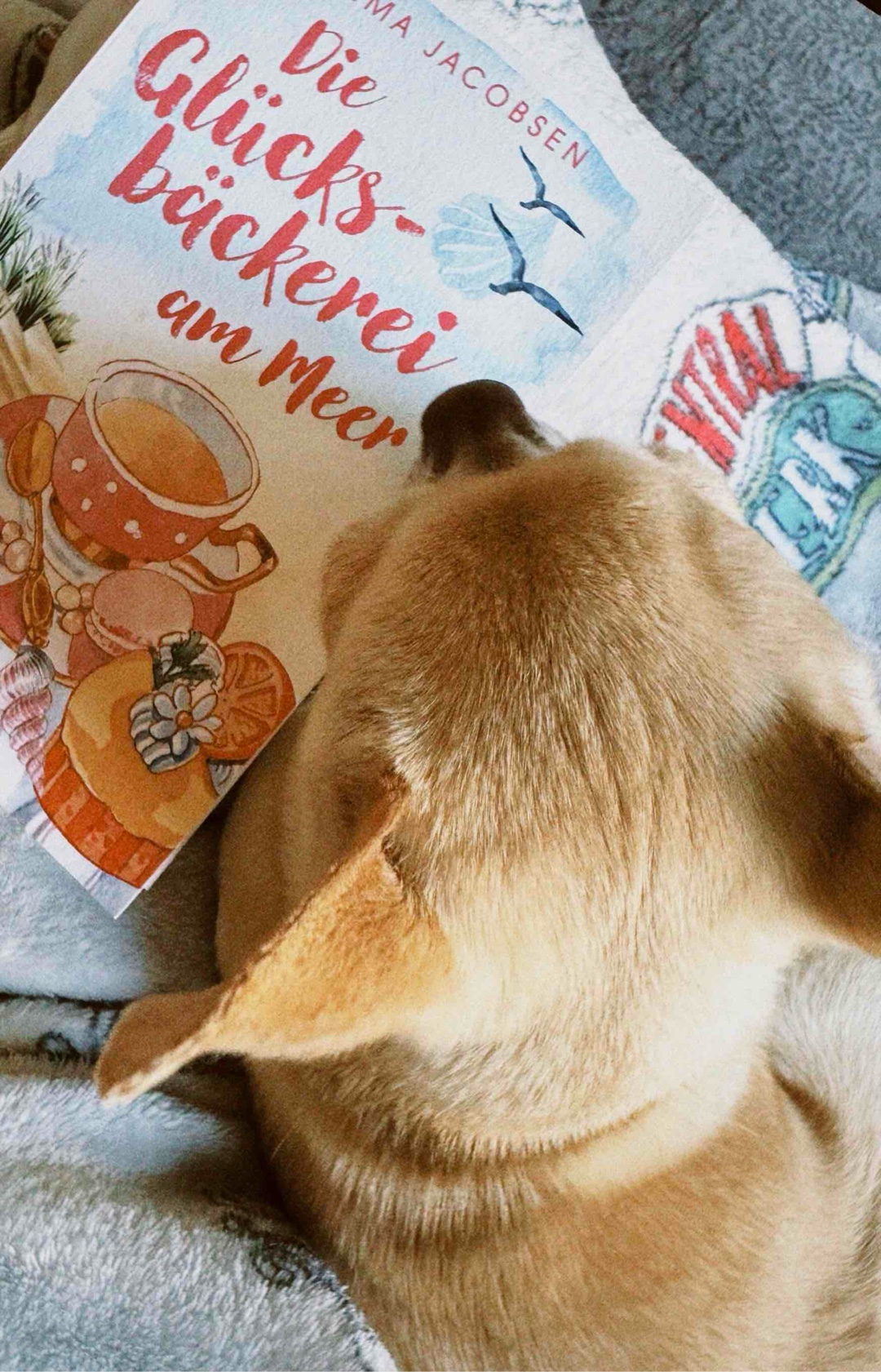 Wohlfühlbuch!