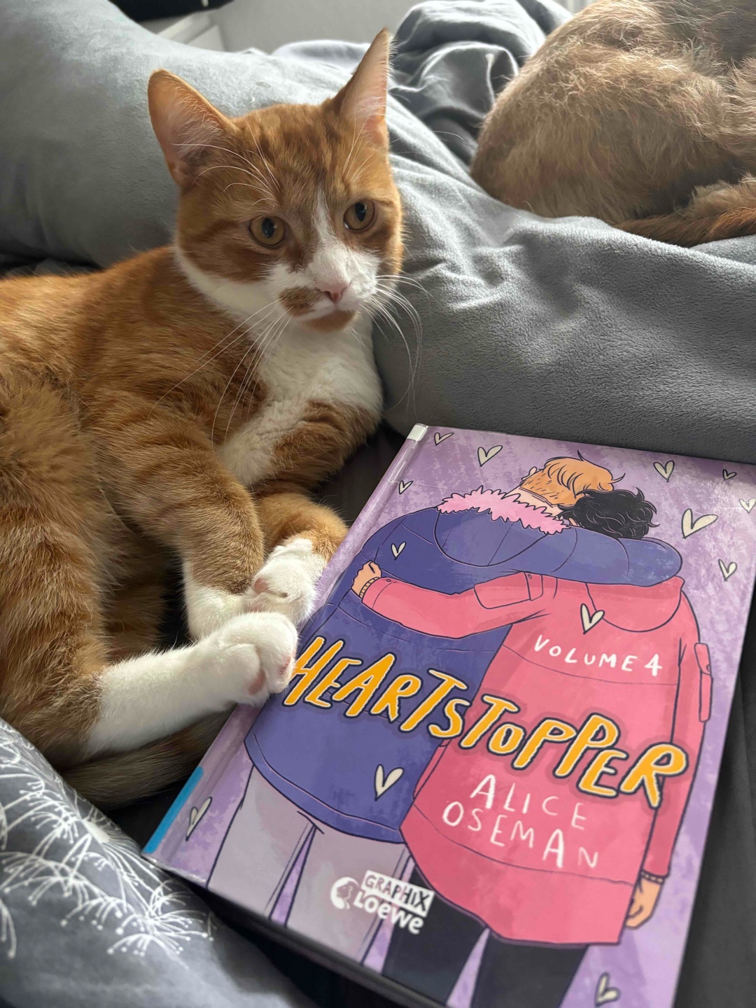 Mein Lieblingsteil der Reihe bisher 💜. Hier geht die Geschichte mehr in die Tiefe und psychische Erkrankungen werden thematisiert.
