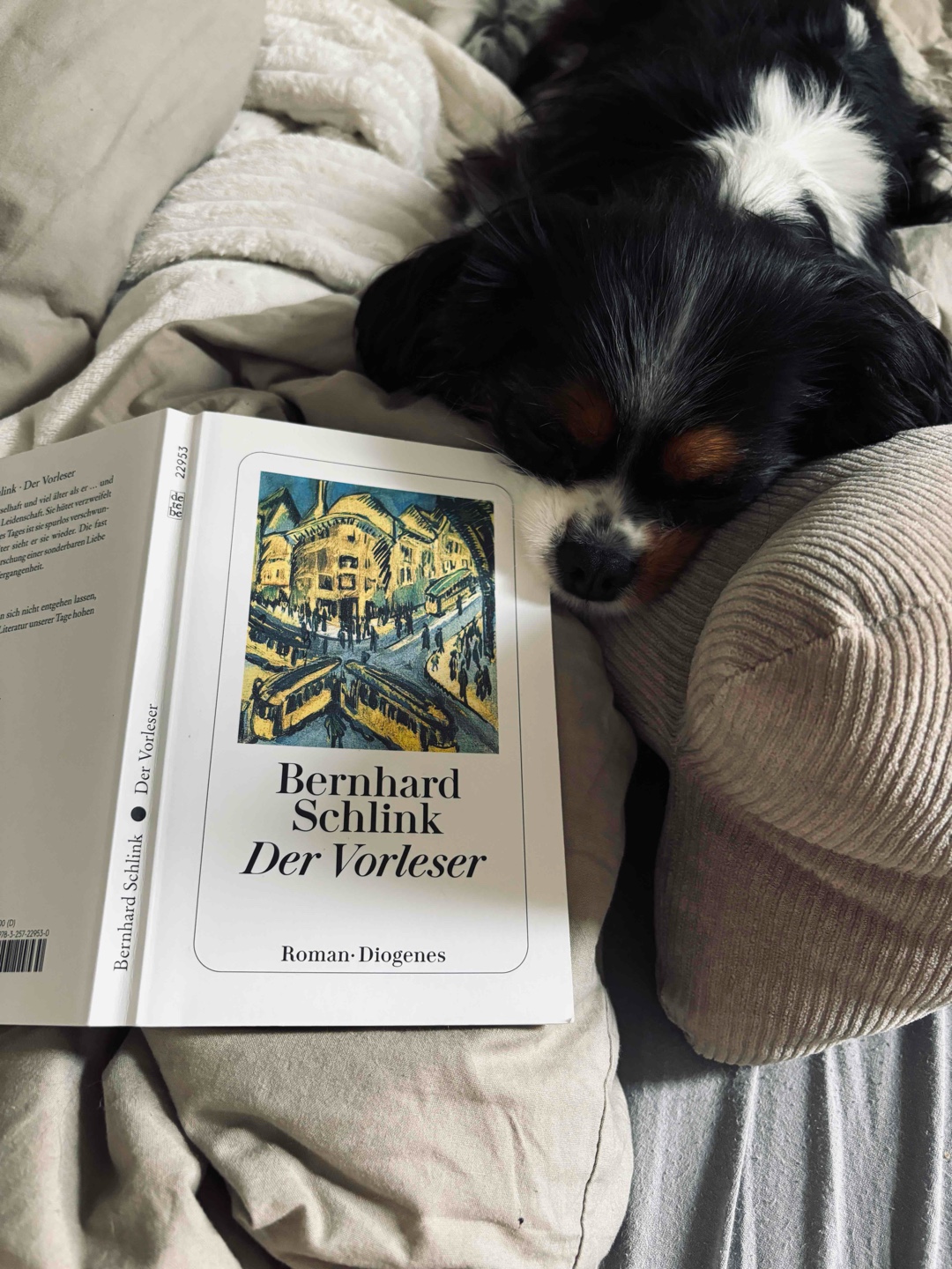 Ein kontroverser Roman! 