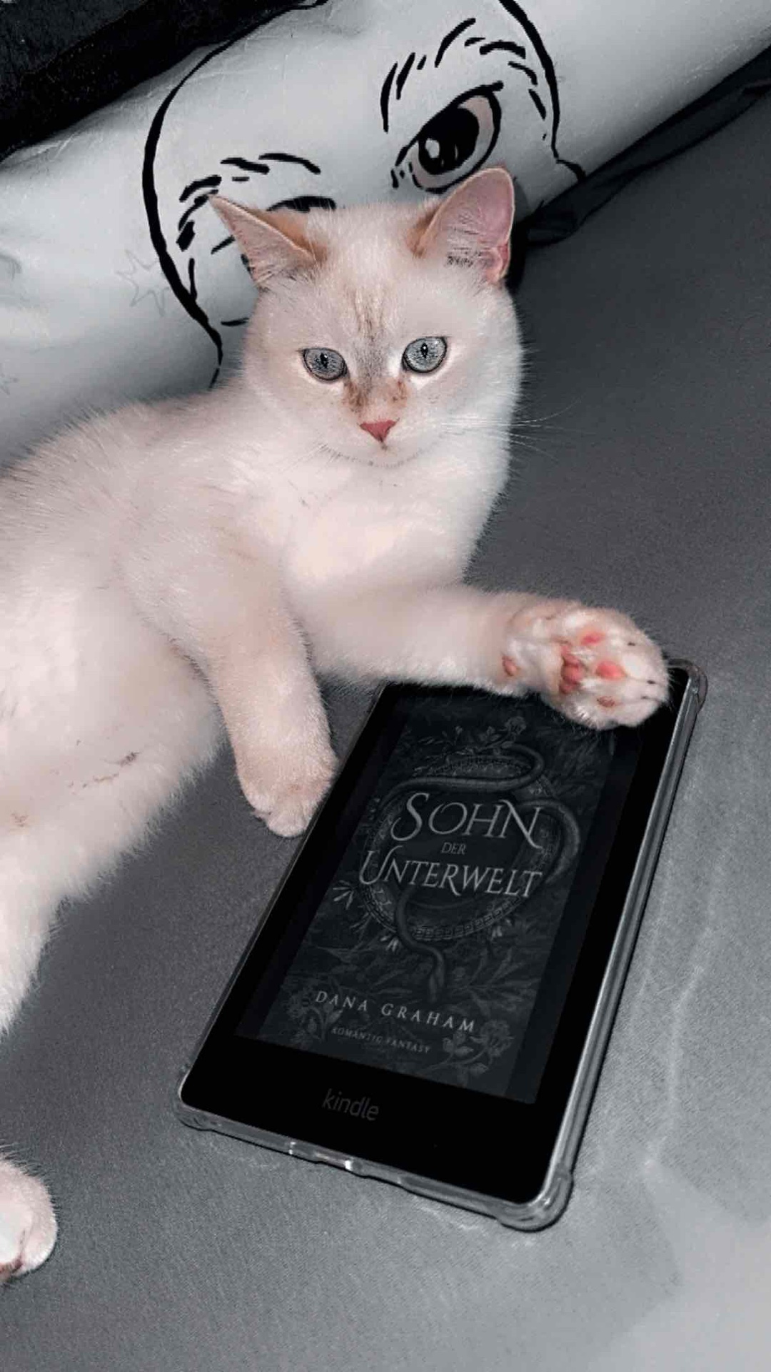 Sehr gutes Buch
⭐️4.5 / 5
🌶️0 / 5