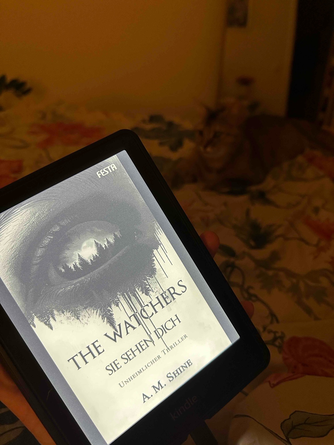 „The Decent“ meets Irische Horror Folklore ⭐️⭐️⭐️⭐️ Und was für ein Ende 😫