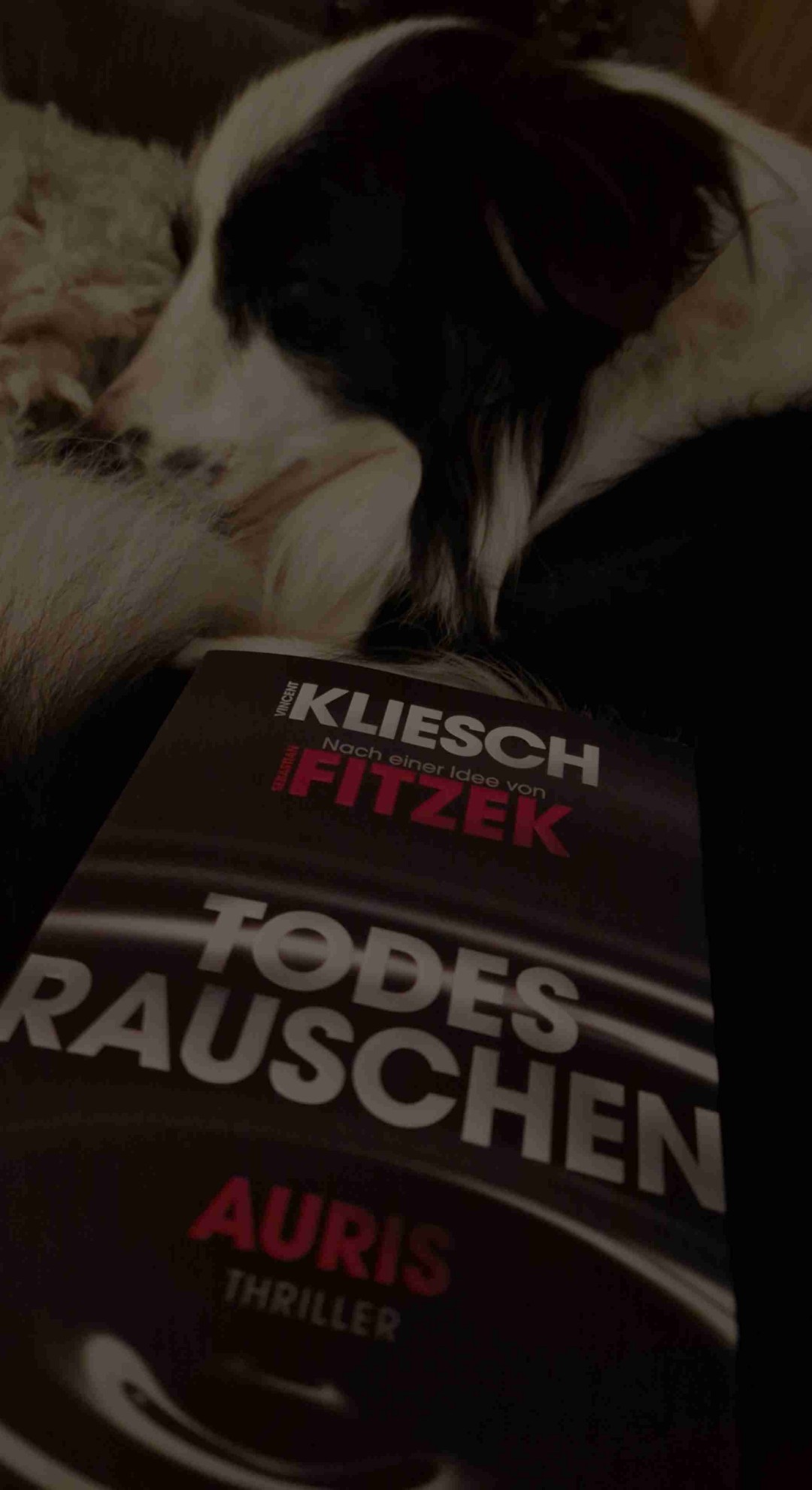 * Achtung kann Spuren von Spoiler enthalten *