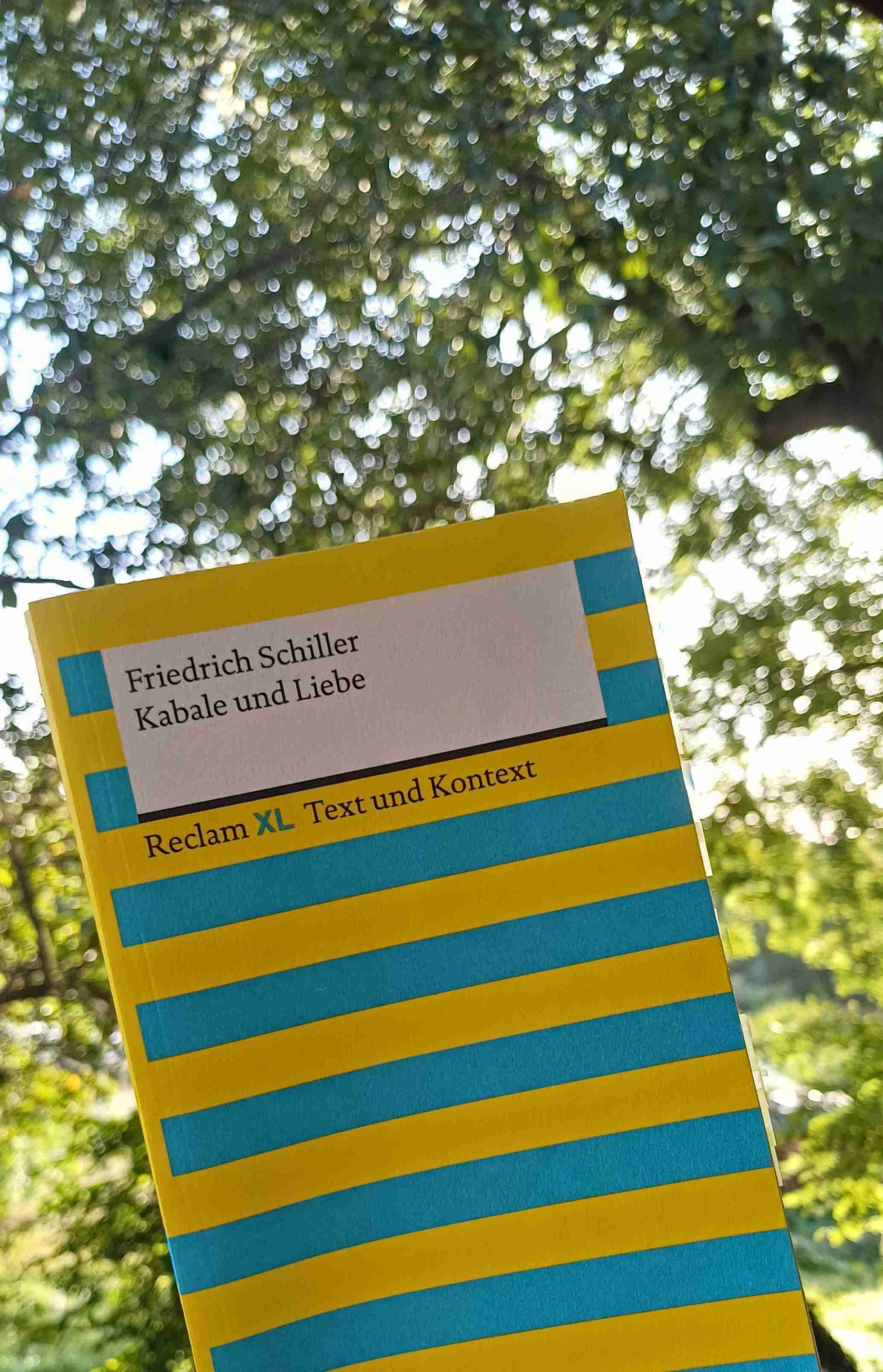 Lese immer wieder gerne Schiller