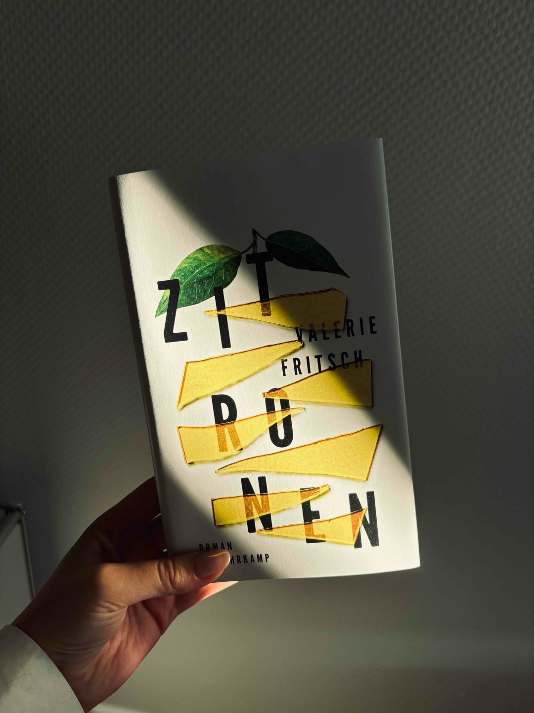 Das Buchcover spiegelt den Inhalt des Buches wieder - Zerrissenheit! 