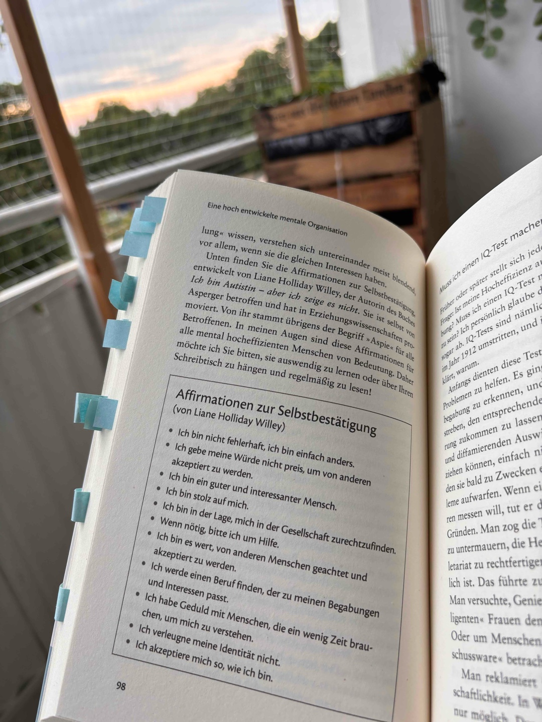 Schönes Buch📖