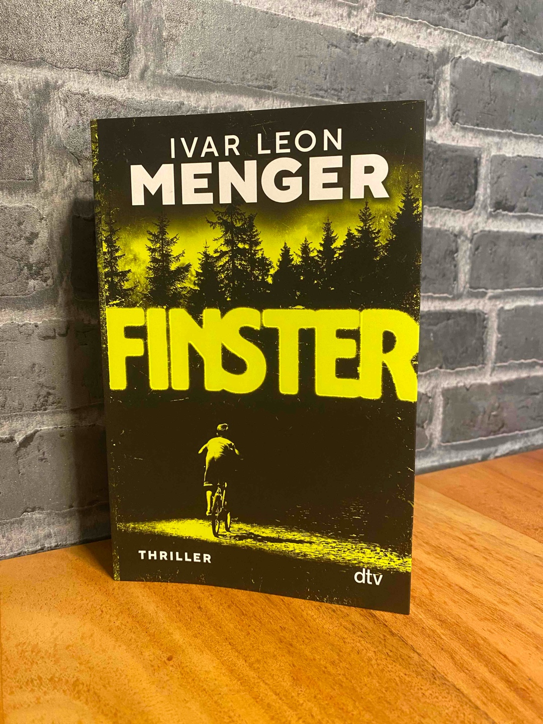 Für mich das bisher stärkste Buch von Menger.