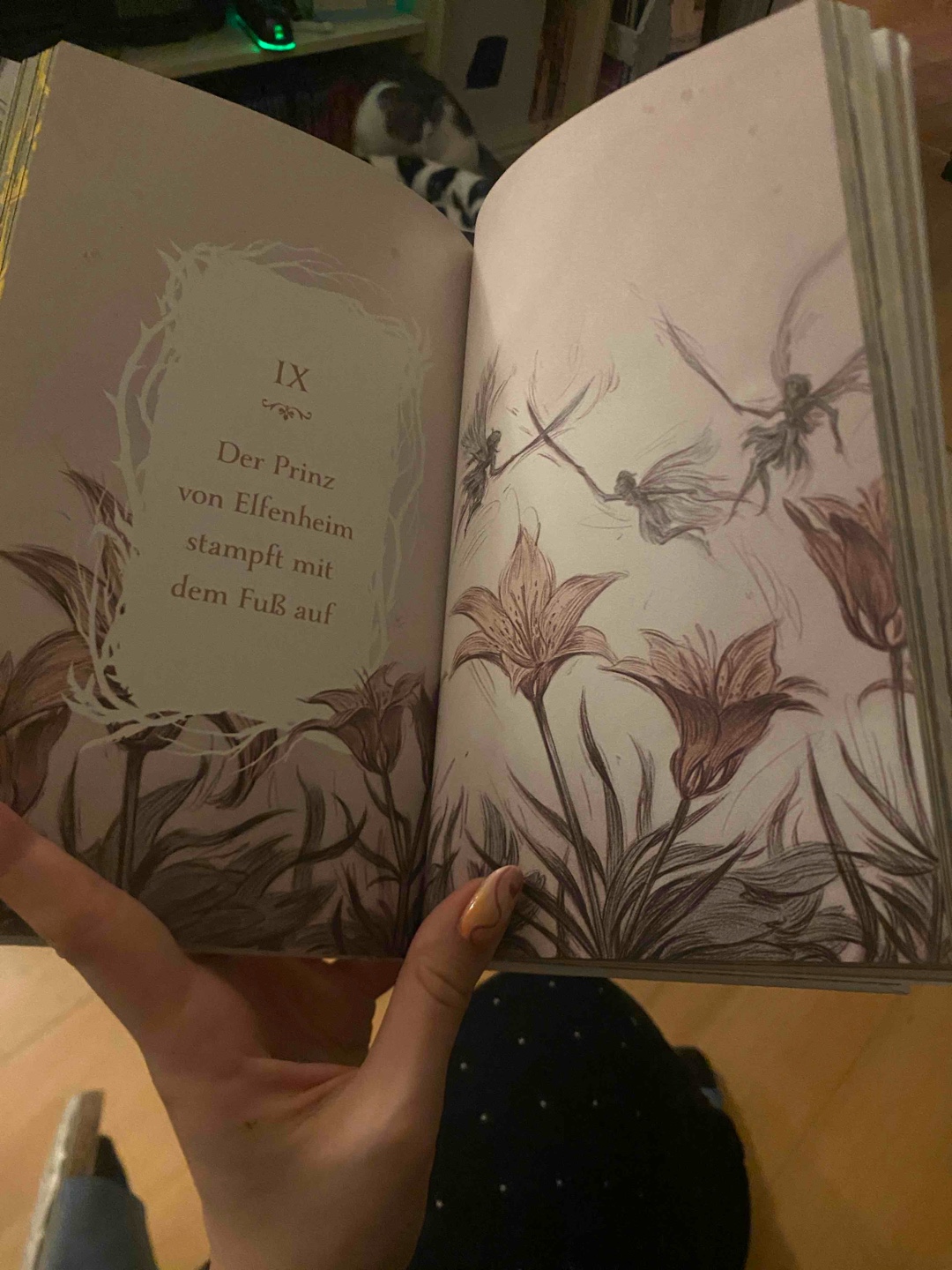 Wunderschöne Illustrationen