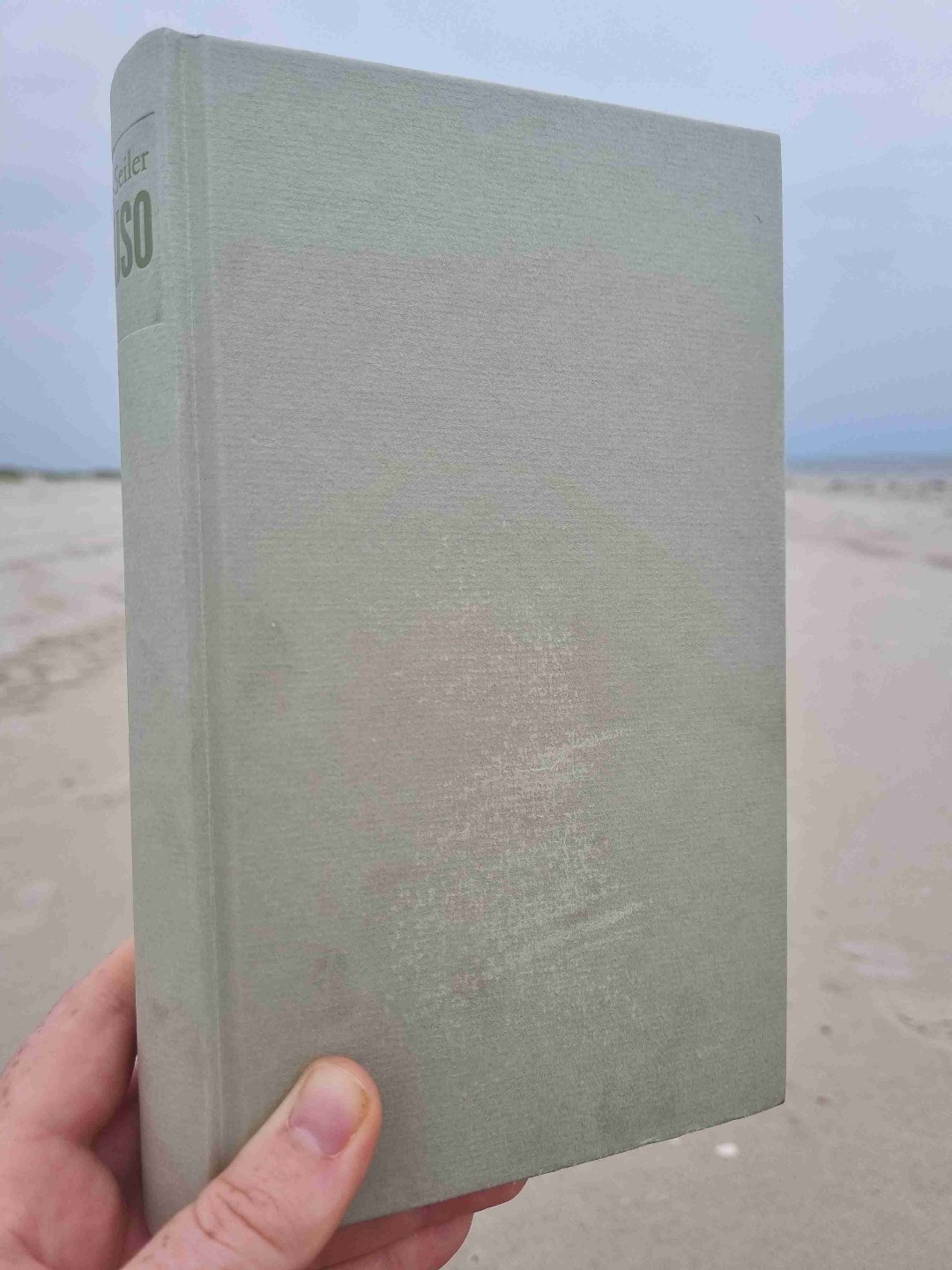 "Wenn Ed sich morgens aufsetze in seinem Bett, sah er das Meer, das genügte für alles." (S. 62)