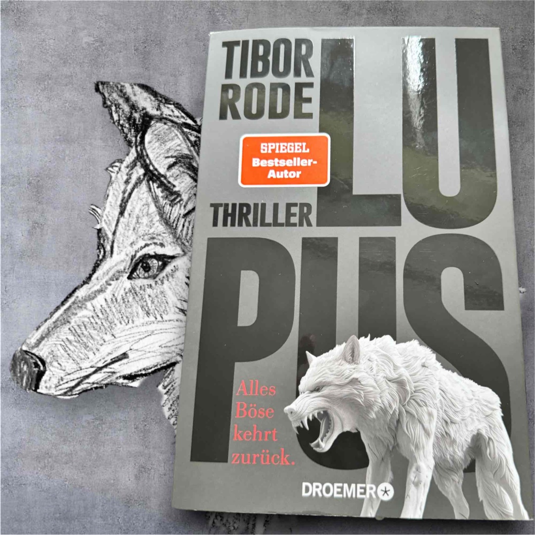 Wer ist hier der böse Wolf? Großartiger Thriller!