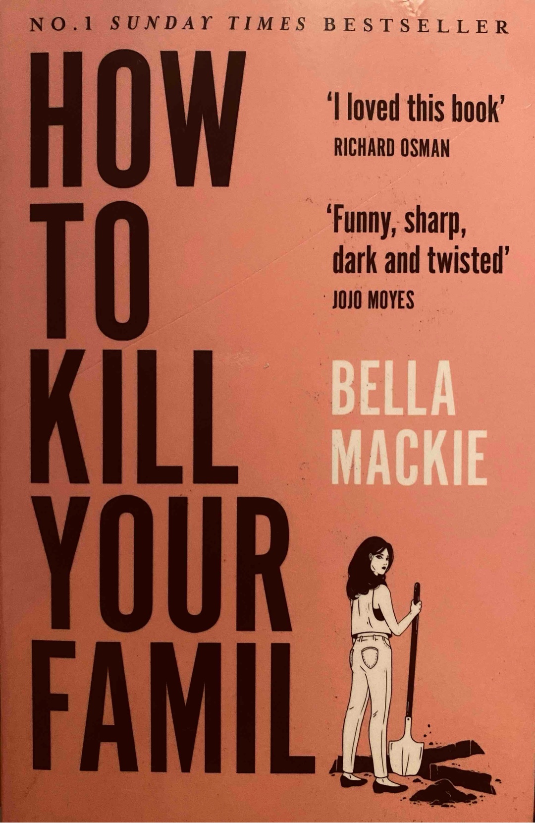 Mal ein ganz anderer Thriller!