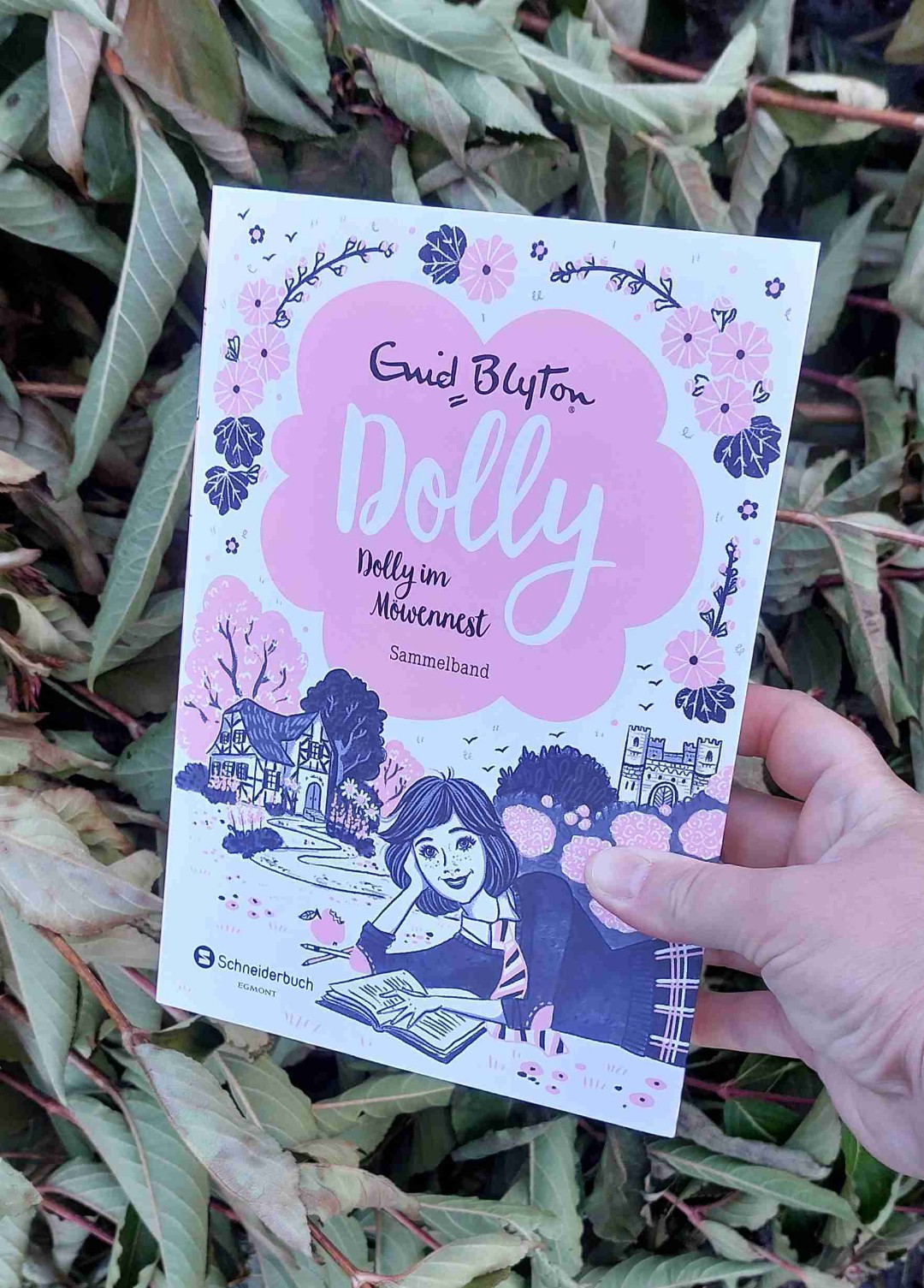 Dolly. Die neueren Bände kommen modern daher.