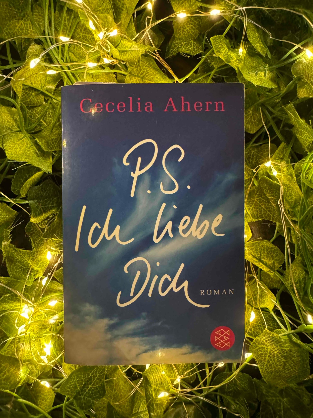 Joa. Ein Buch halt.
