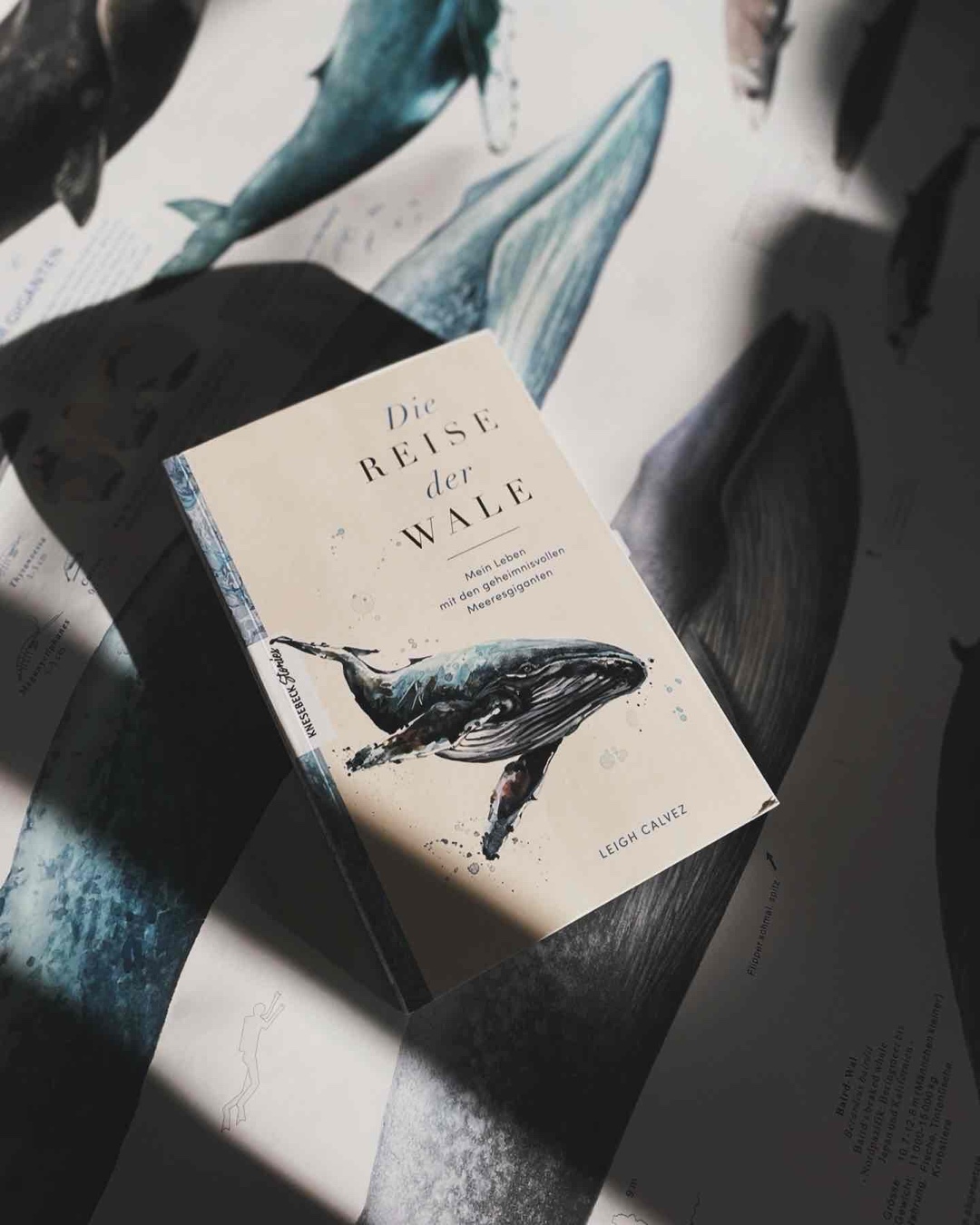 Eine große Empfehlung für alle, die Wale lieben. Ich habe wieder so viel Neues gelernt, was mich mein Leben lang begleiten wird. 🐋