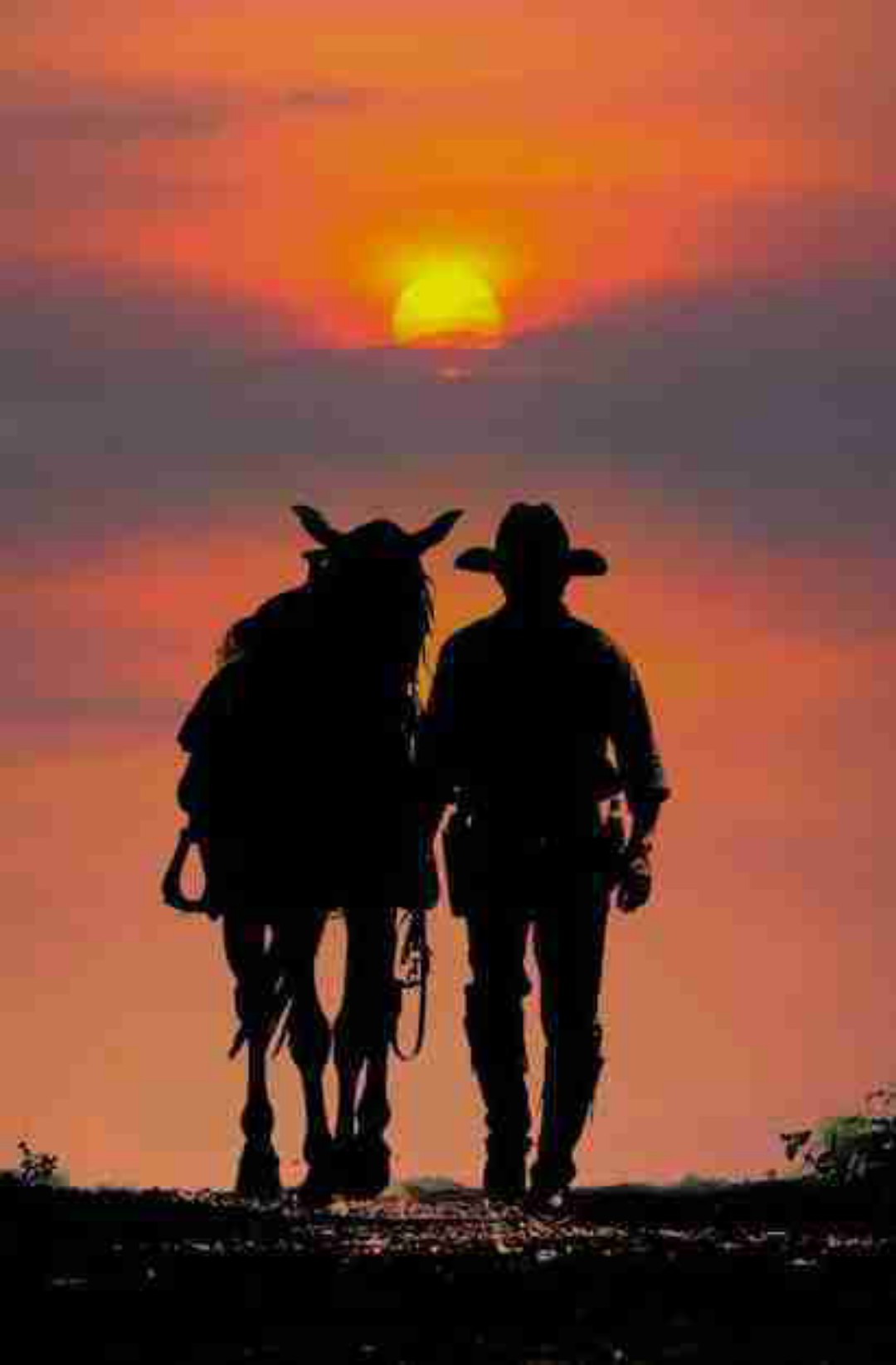 COWBOYS 🤠❤️🔥