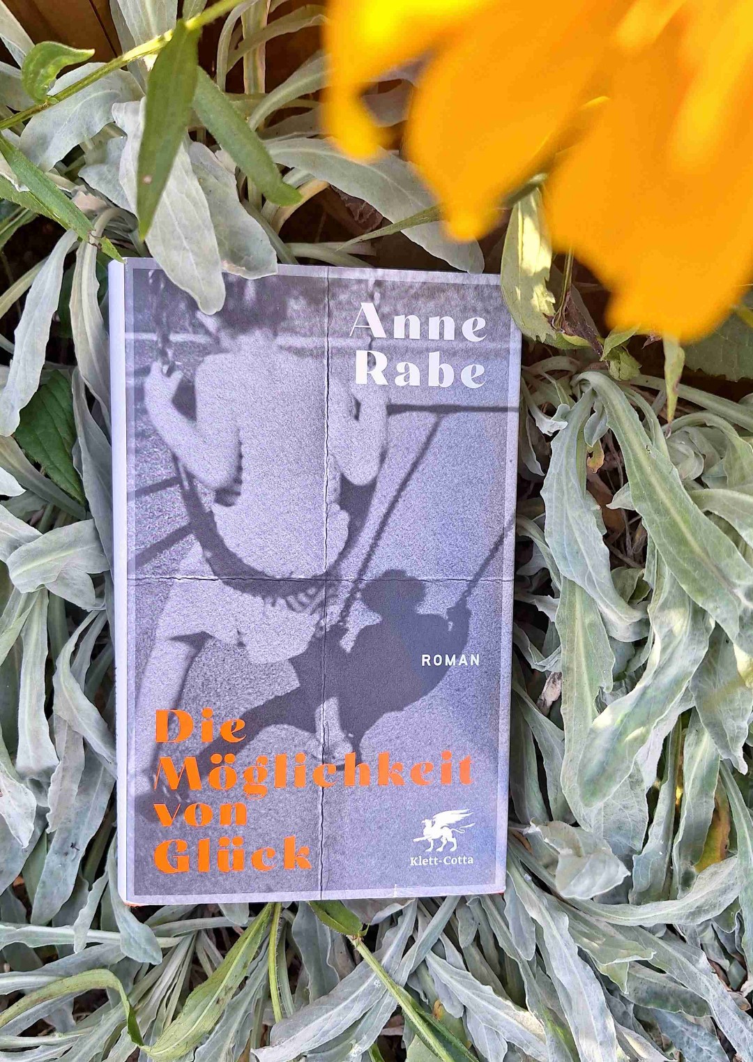 "Die Möglichkeit von Glück" ist ein fesselnder Roman, der tief in die Geschichte Ostdeutschlands und die Auswirkungen des DDR-Regimes auf eine Familie eintaucht. Die Hauptfigur Stine versucht, die Geheimnisse und Traumata ihrer Familie zu ergründen.