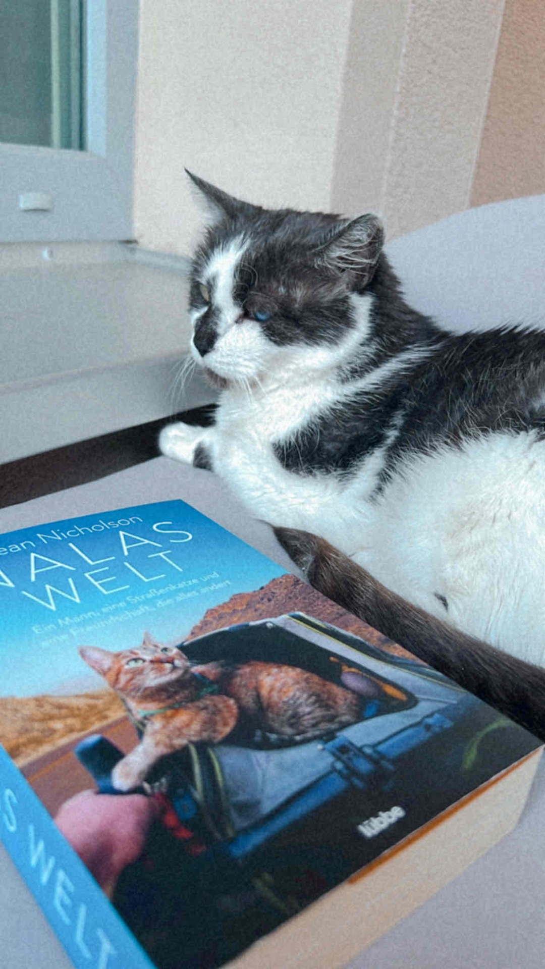 Ein Buch fürs Herz ♥️🐱