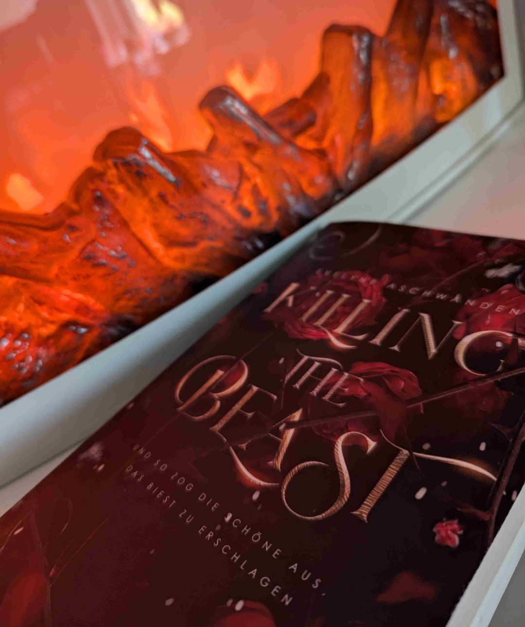 Ein Buch, was ganz viele Emotionen weckt, verpackt in einer Fantasy Geschichte.