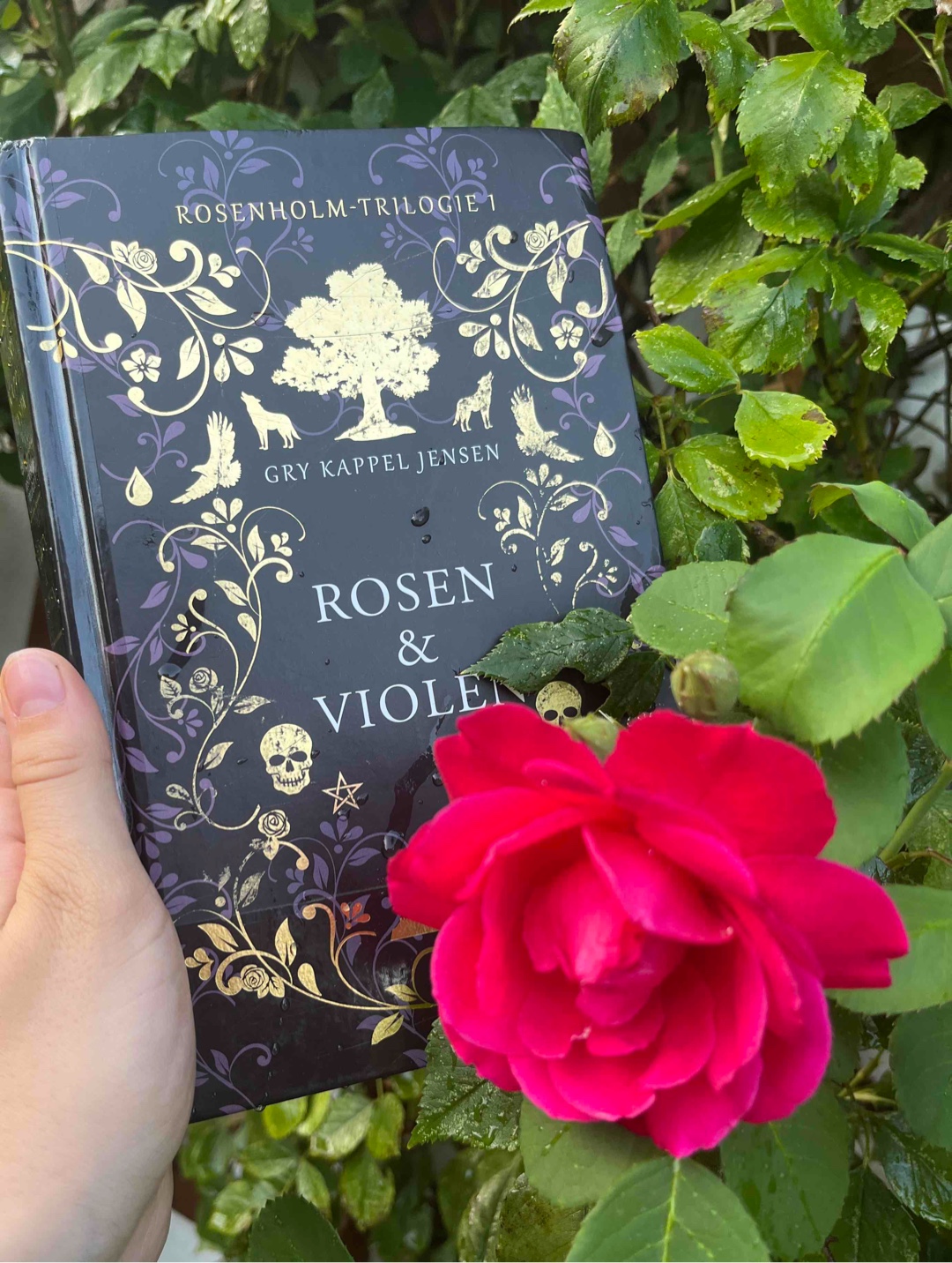 Ein sehr schönes Buch.
Am Anfang ist es ein wenig verwirrend, doch alle Fragen beantworten sich am Ende.
Es hat einen guten Schreibstile und auch optisch ist es sehr schön.
Ich finde es ist der beste von den drei Teilen.