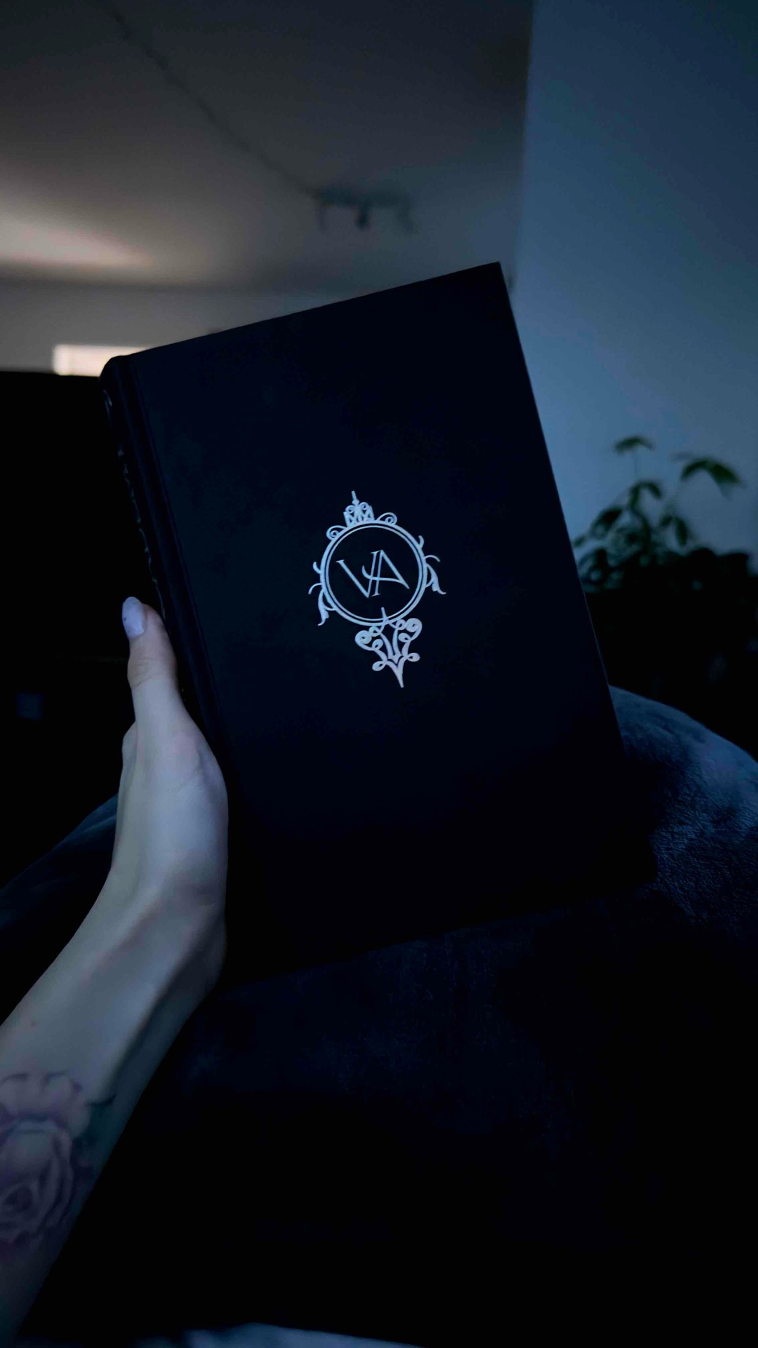 Ein sehr schönes und interessantes Buch. Ich habe es mit großem Vergnügen gelesen. Und es gab den Wunsch, den Film noch einmal zu sehen, um das Buch mit dem Film zu vergleichen. Ich würde gerne auch den nächsten Teil lesen. Der Schreibstil ist eher für Teenager geeignet, aber wenn man so etwas mag, wird man auch dieses Buch schätzen. 🧛🏻♀️🌹📚