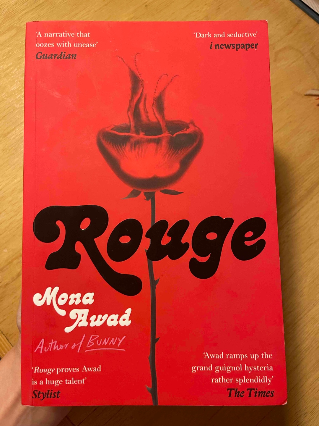Die Obsession mit Schönheit, die Krankheit des Neides und die Liebe. Eine Mischung aus Horror und Realität, märchenhafte Elemente, eine typische Mona Awad Geschichte. 🌹