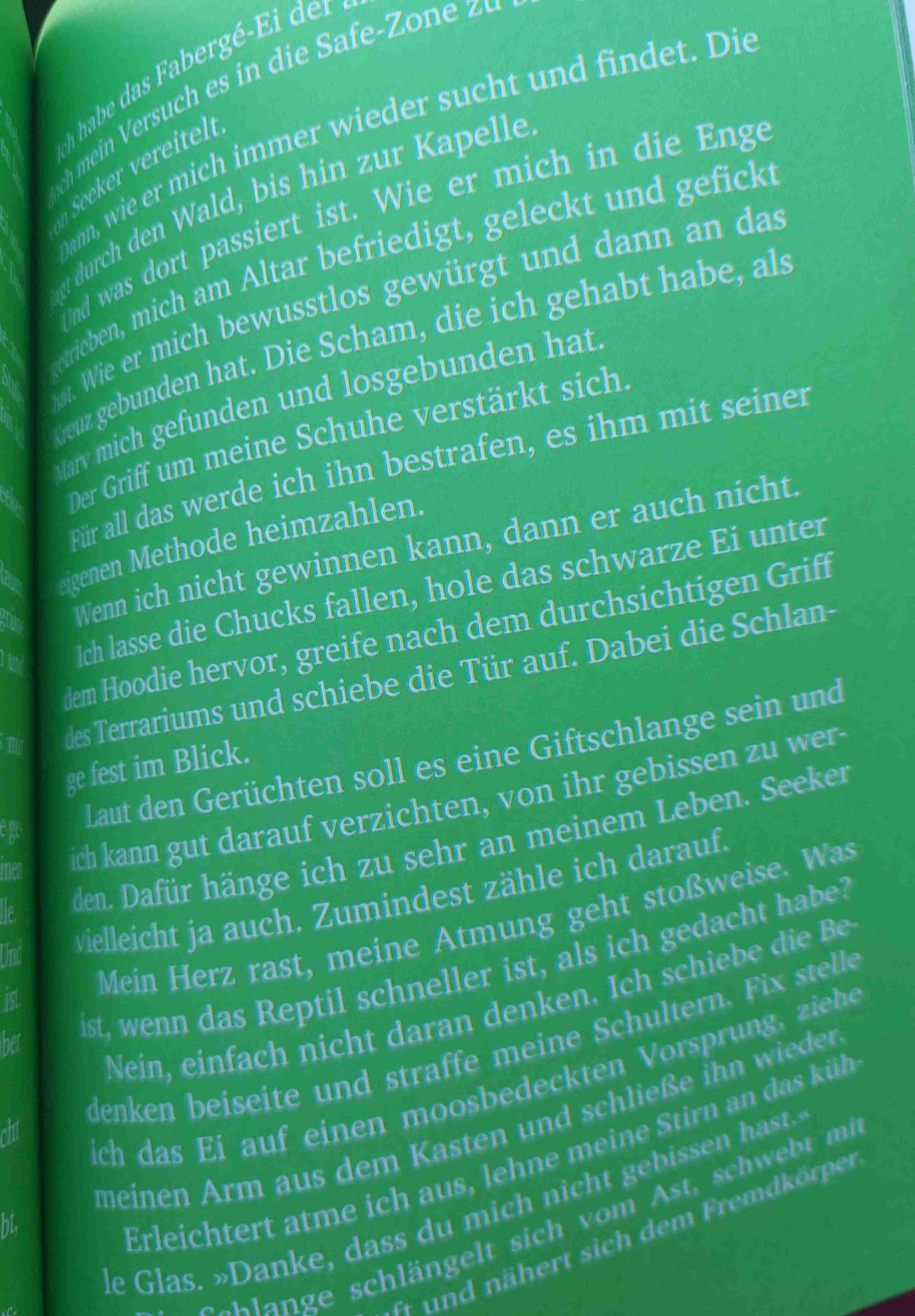 Die Grünen Seiten waren am Anfang anstrengend zulesen, aber sobald man sich dran gewöhnt hat, könnte man schnell und flüssig lesen. 🥰