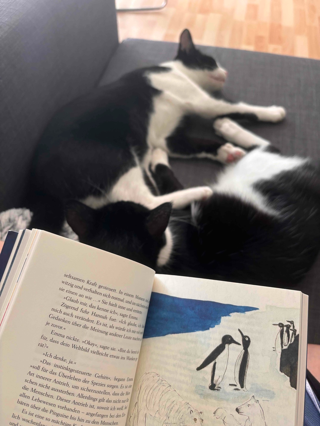 Wieder super Buch!