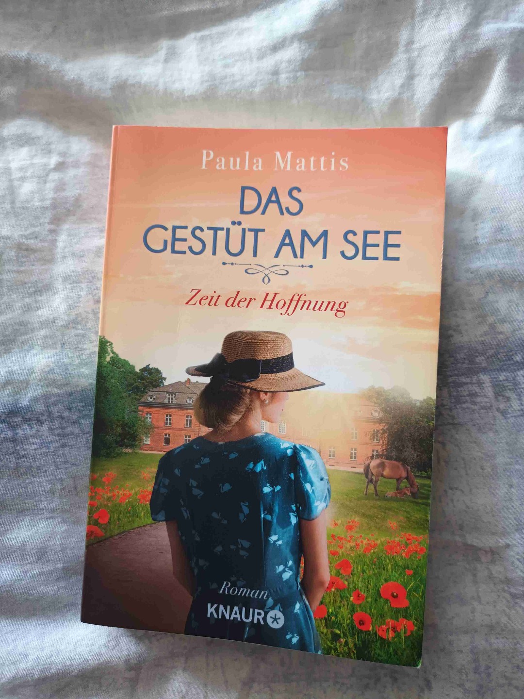 Der Anfang war richtig stark. Da dachte ich, dass es besser wird als Band 1, aber dann ging es bergab. Es wurde vieles angerissen aber irgendwie nicht richtig abgeschlossen und hat somit auch nicht direkt zur Story beigetragen und auch einige Fragen blieben offen. Alles in allem eine ganz nette Dilogie für zwischendurch.