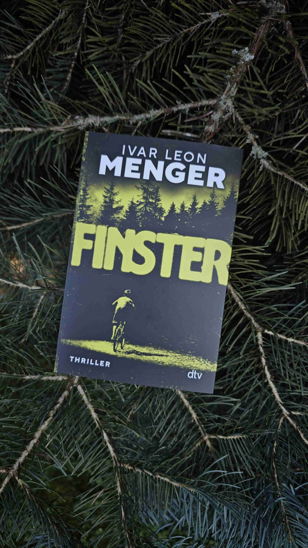 FINSTER