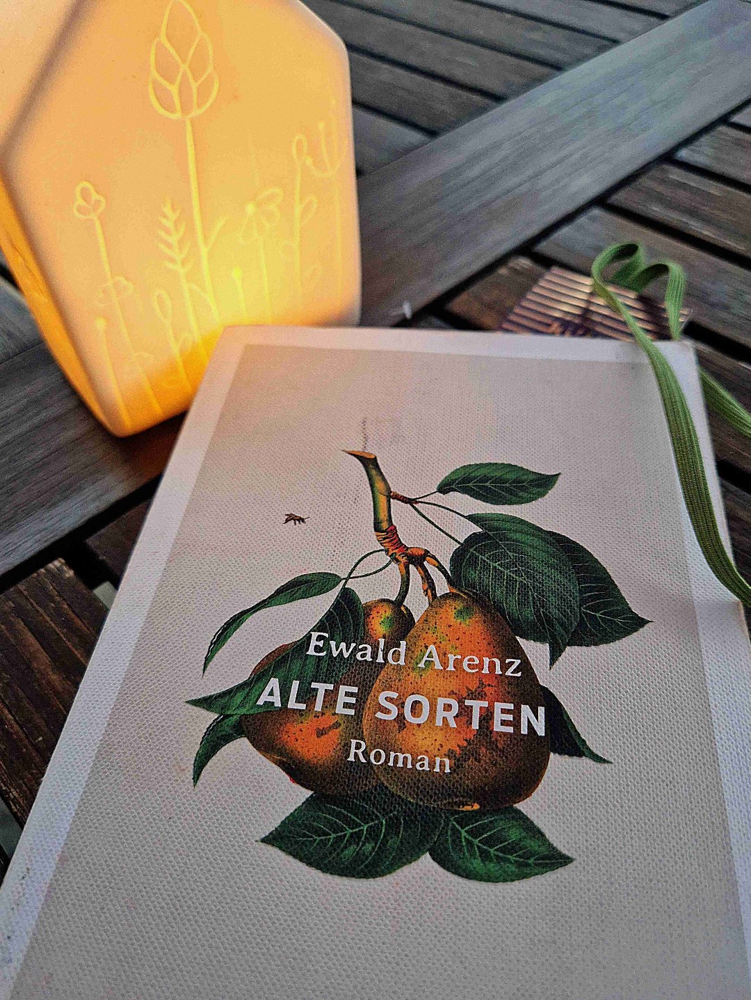 "Ich ertrinke, dachte sie. Ich stehe an Land und ertrinke."