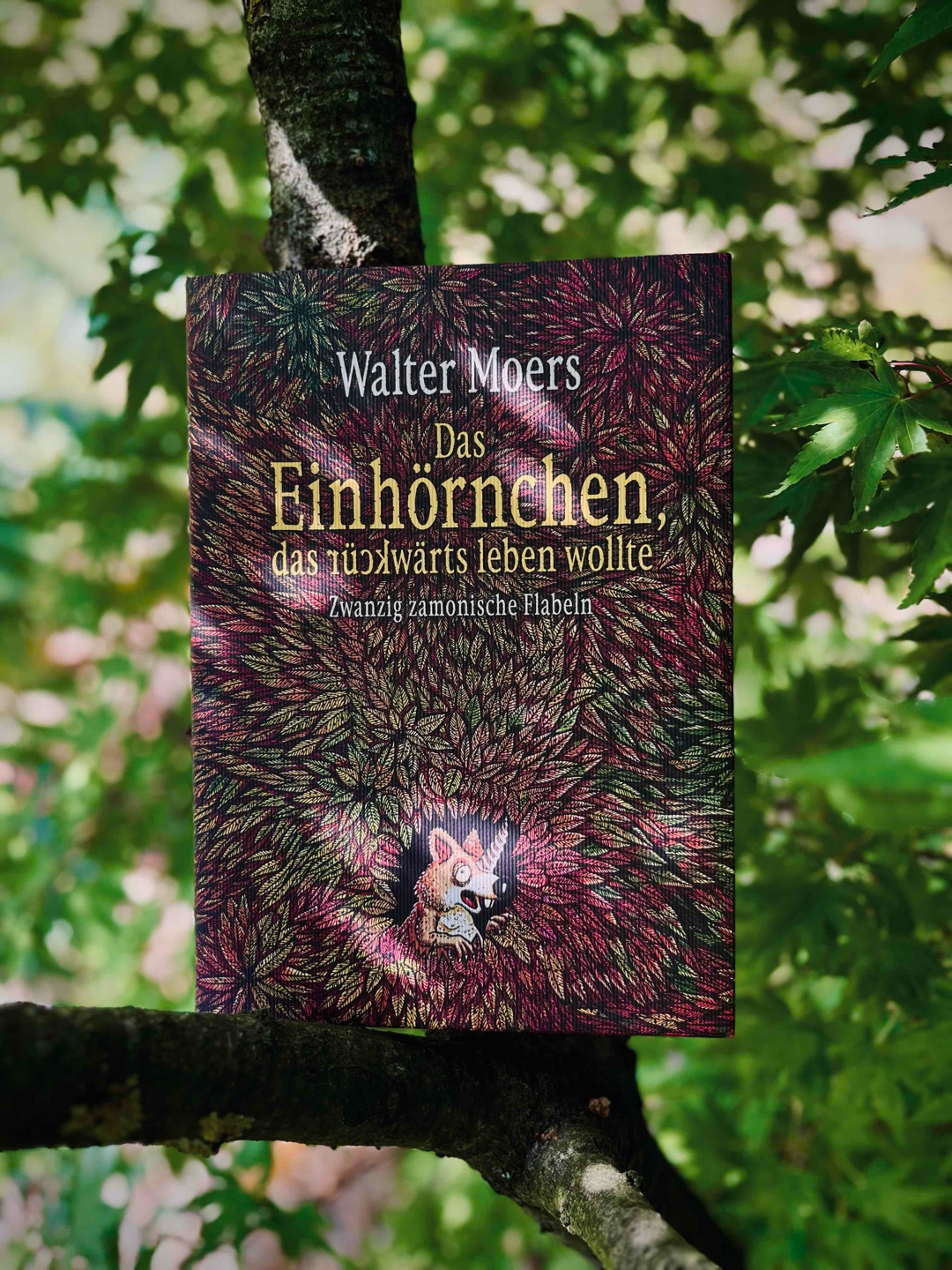 Leider eine absolute Enttäuschung… :-(