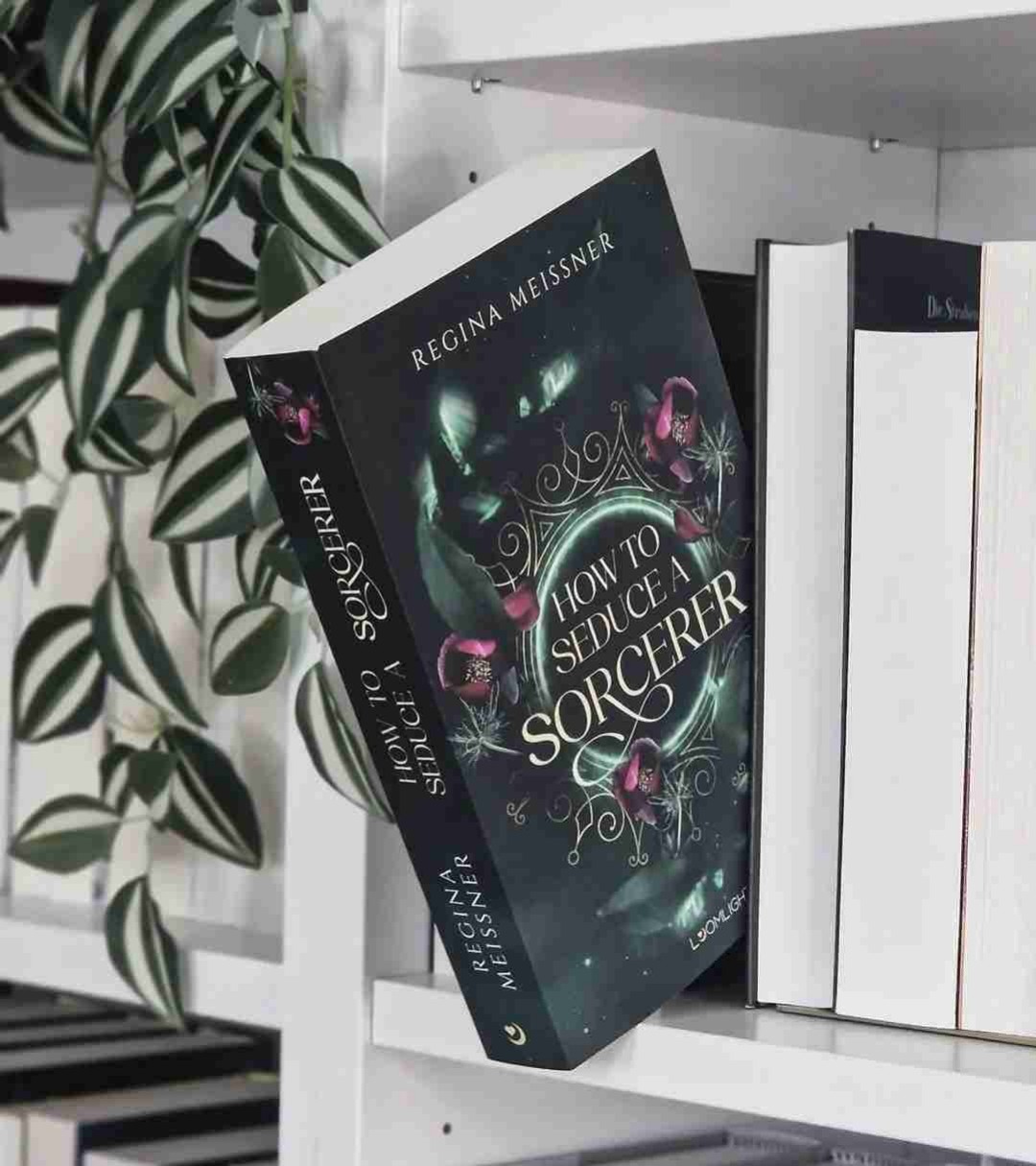 'How to Seduce a Sorcerer' ist ein Märchen mit viel Originalität, einem düsteren Setting und "Die schöne und das Biest"-Vibes, das sich perfekt für Fantasyeinsteiger eignet.