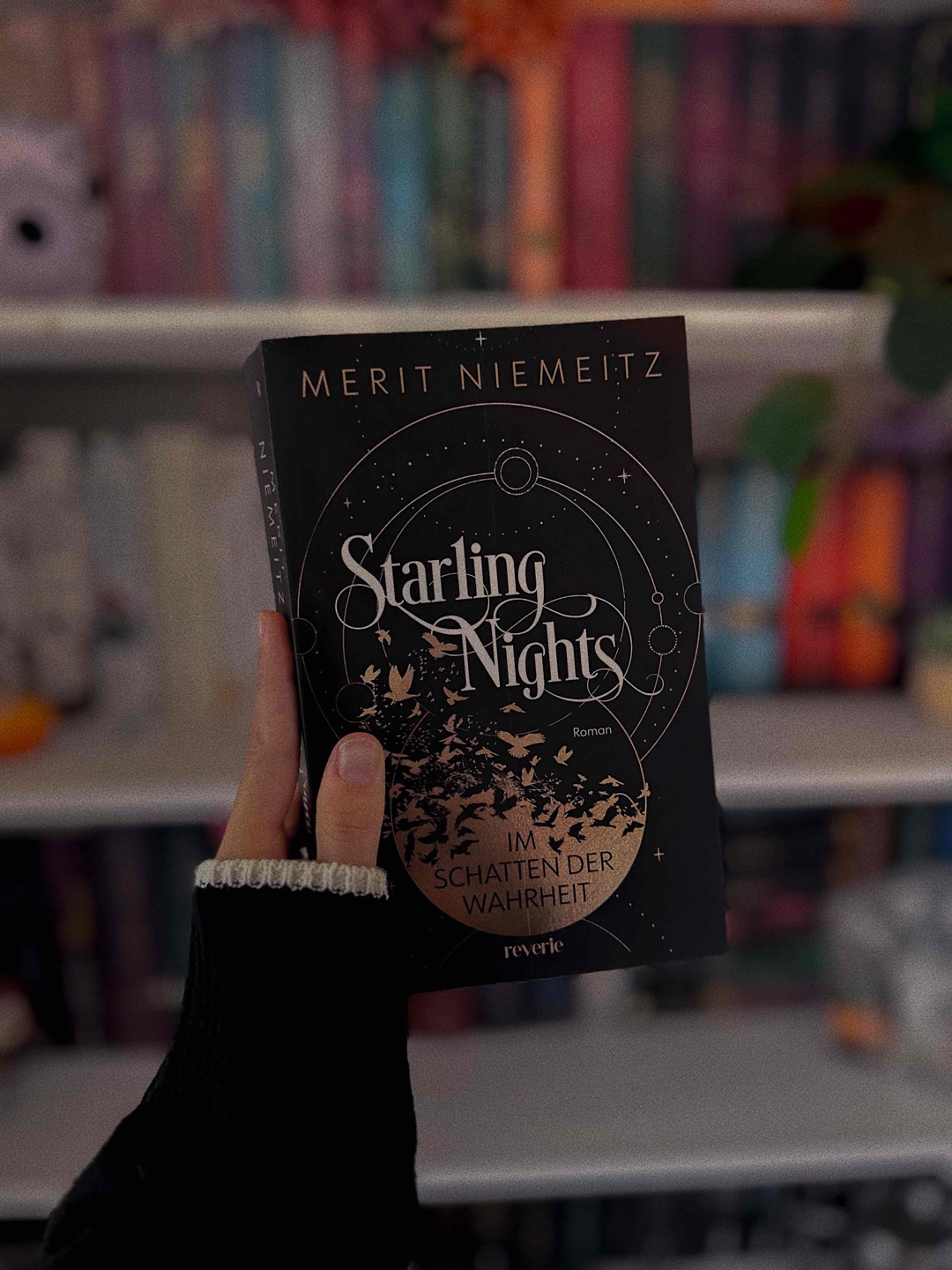 Spannende Geschichte mit Dark Academia Setting 🤎✨
