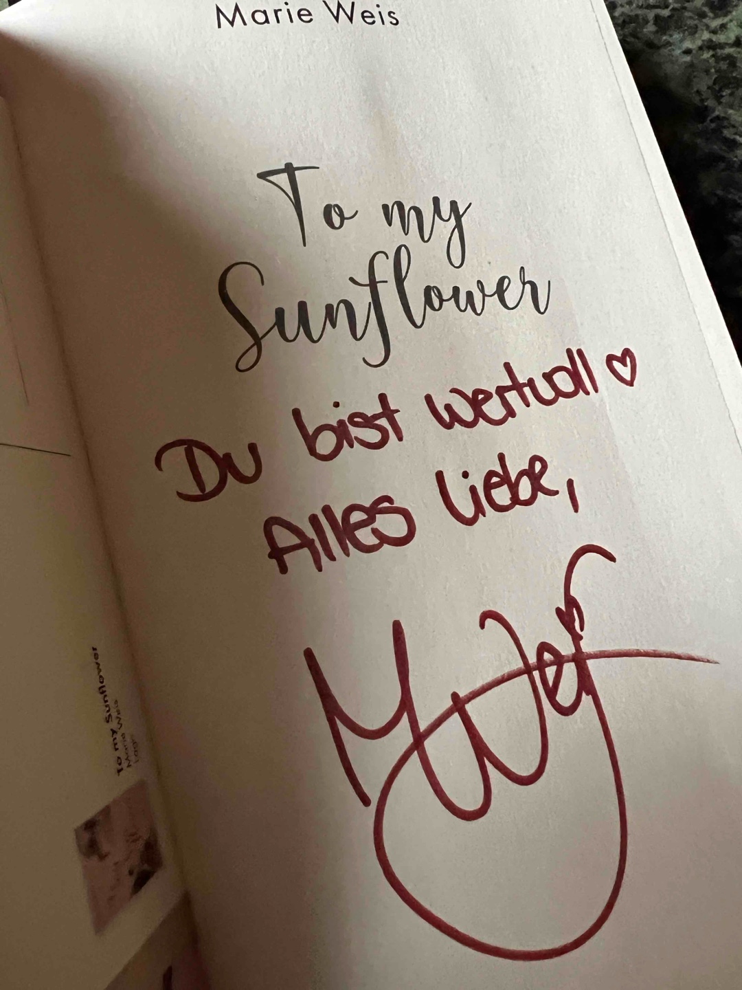 Manipulation und Mobbing was dies für Folgen auslösen kann zeigt dieses Buch sehr gut auf . 